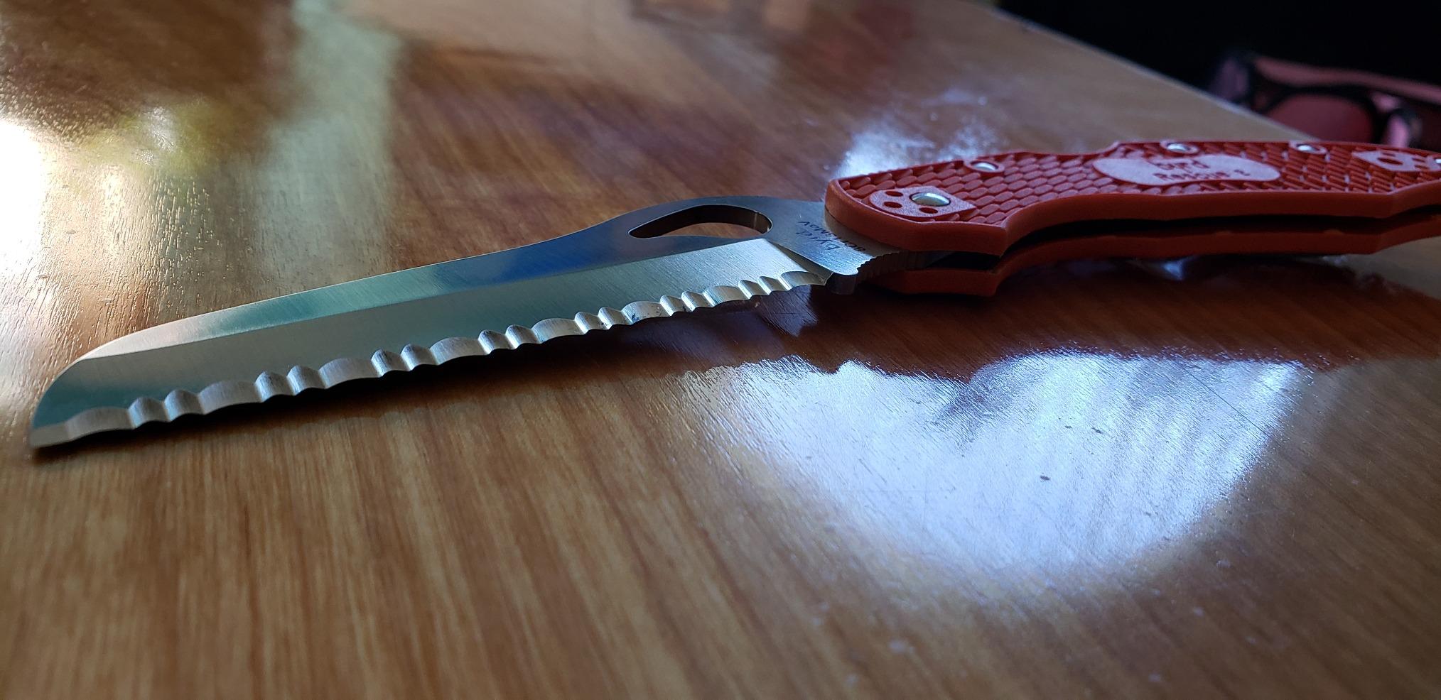 Byrd by Spyderco Cara Cara 2 Rescue Folding Pocket Knife with 3
