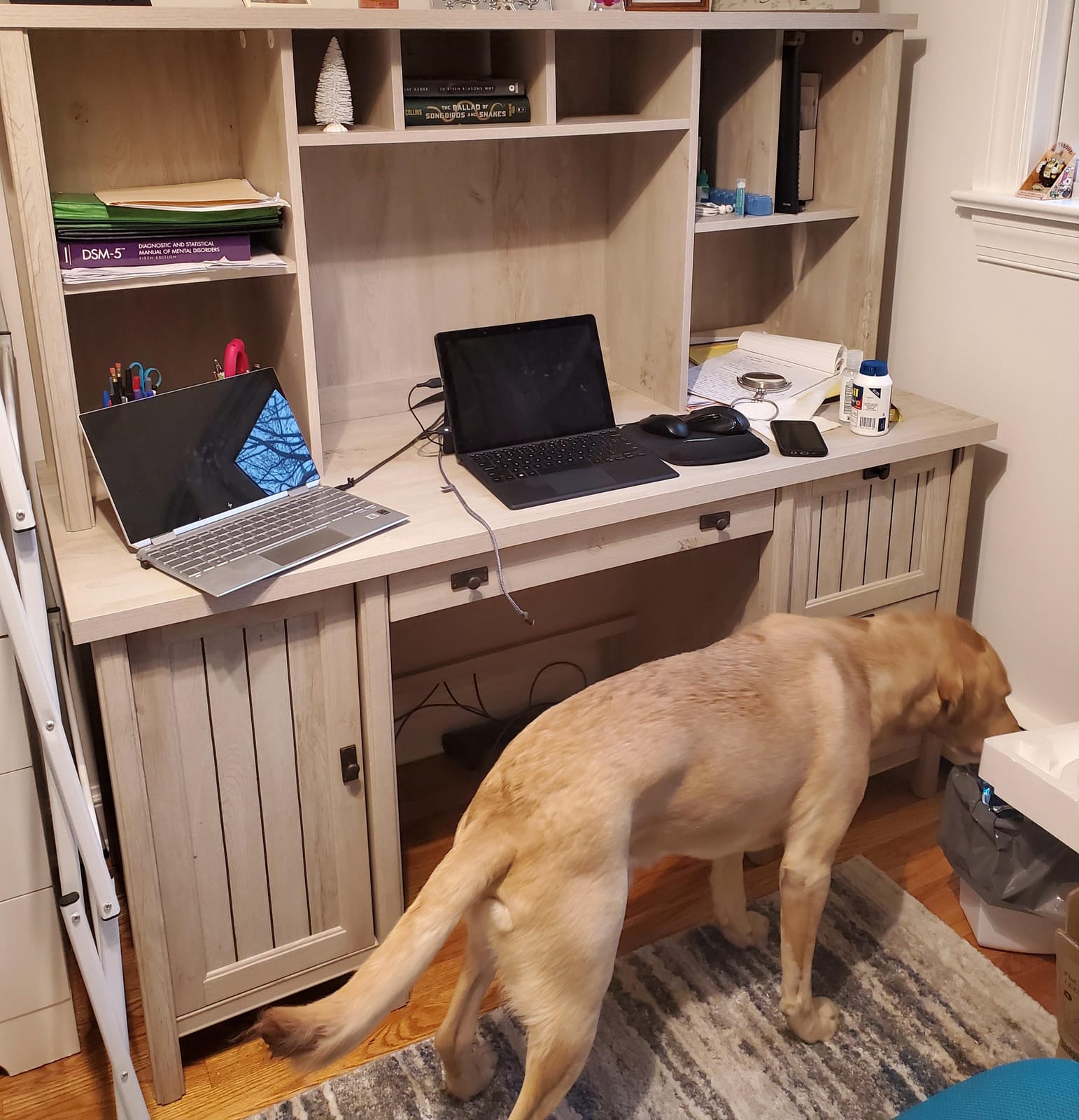 Sauder Costa Computer Desk with Storage Drawers, Home Office Desk, in Chalked Chestnut customer photo 2