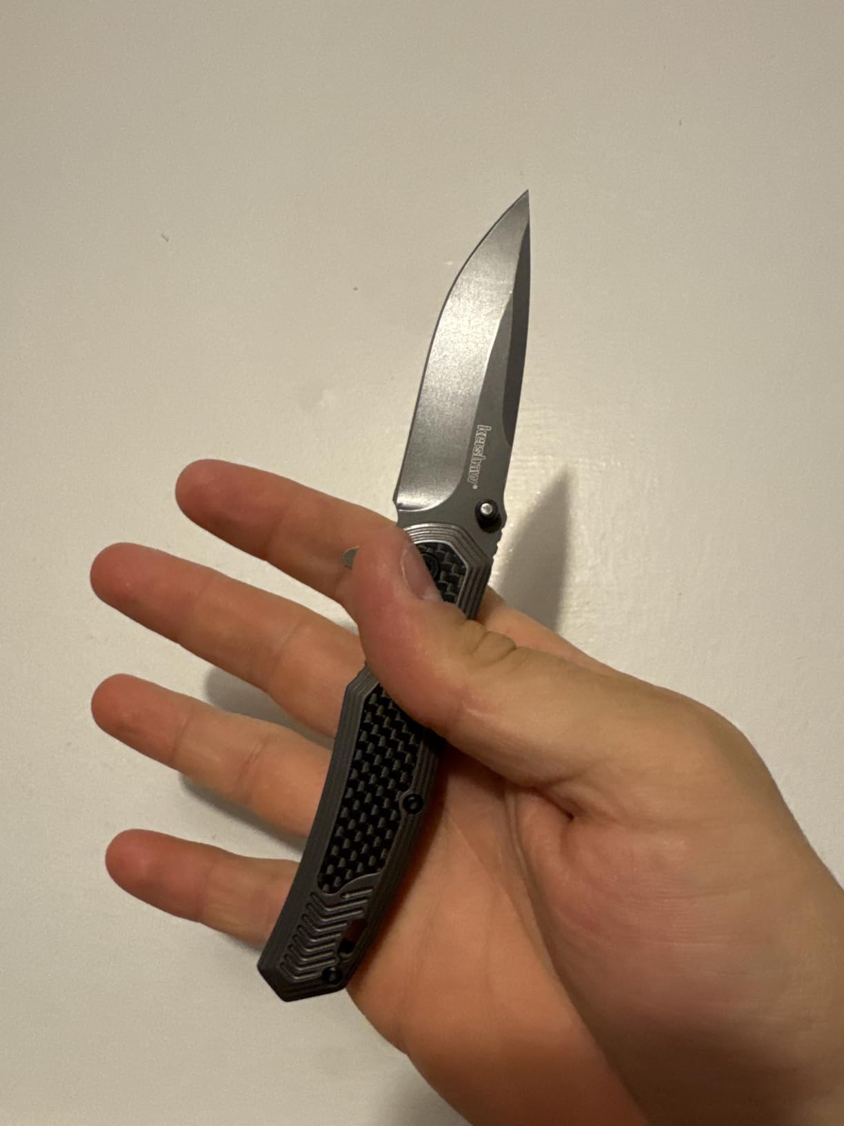 Kershaw Fringe Pocket Knife, 3in Stainless Steel Blade, Assisted Opening, Everyday Carry customer photo 1