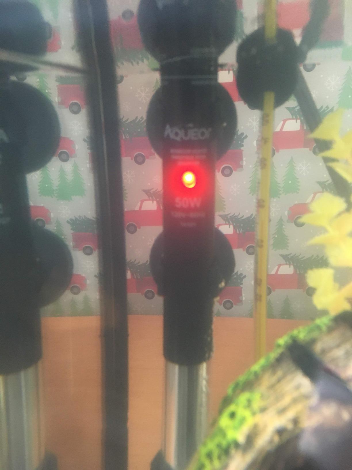 Aqueon Submersible Aquarium Heater, 50 Watts, Up to 20 Gallons customer photo 2