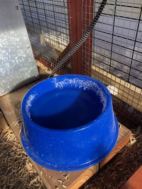 Farm Innovators 1 Quart Plastic Heated Pet Bowl with Anti Chew Cord and 25 Watts of Power for Rabbits, Dogs, Cats, and All Breed Sizes, Blue customer photo 2