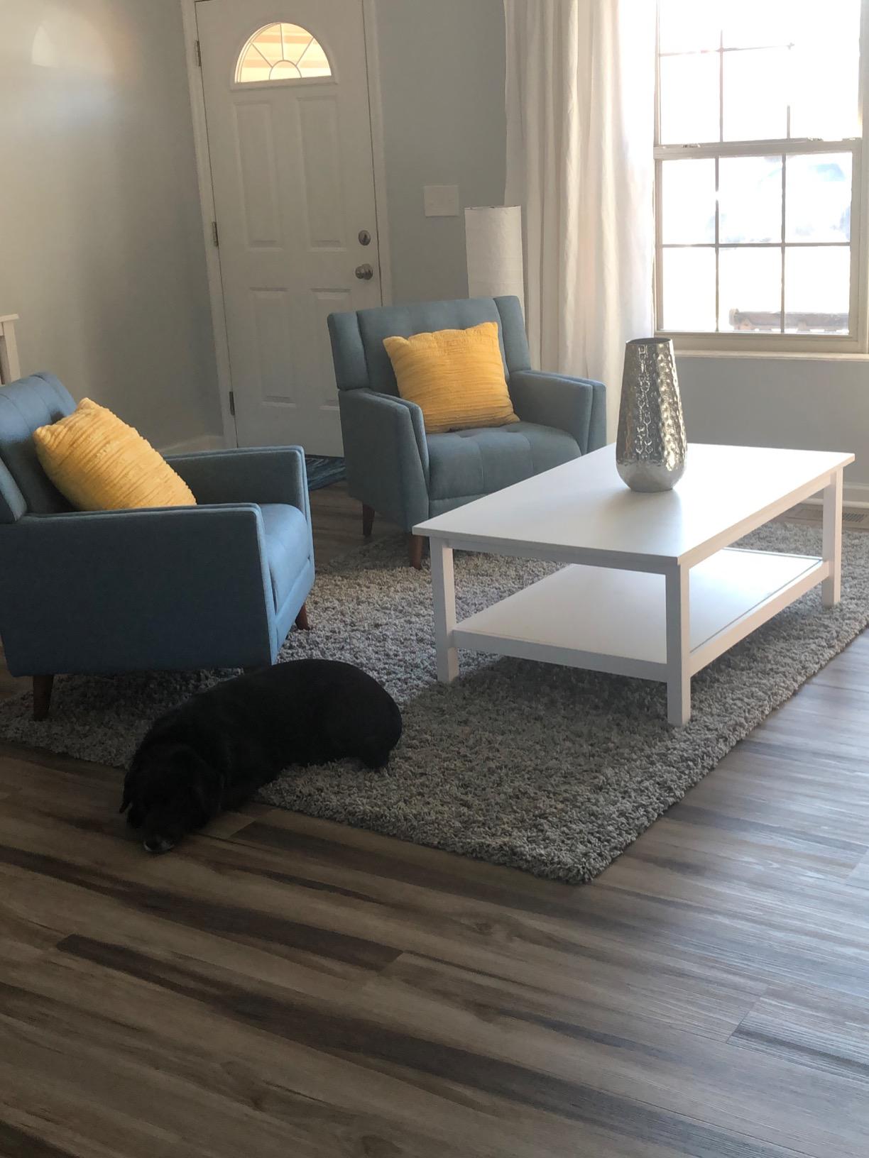 Christopher Knight Home Alisa Mid Century Modern Fabric Arm Chair, Blue and Walnut customer photo 2