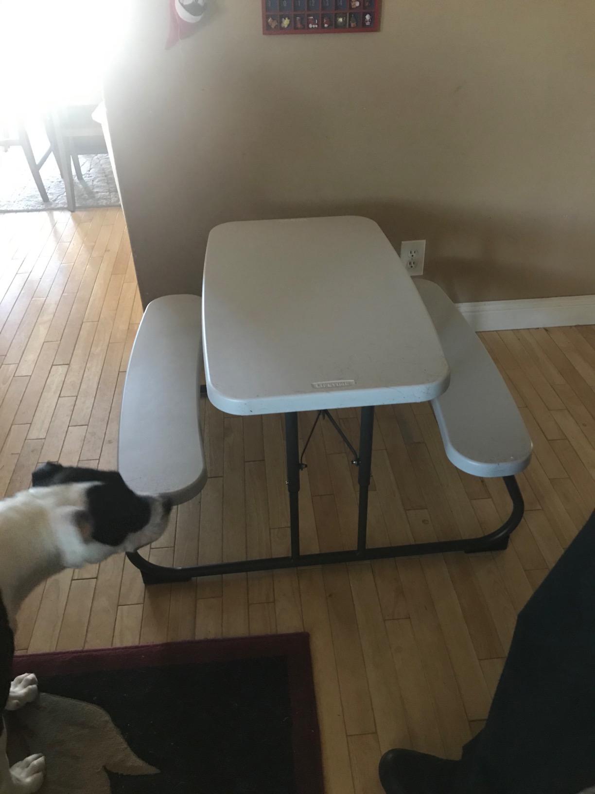 LIFETIME Kid's Picnic Table, White customer photo 2