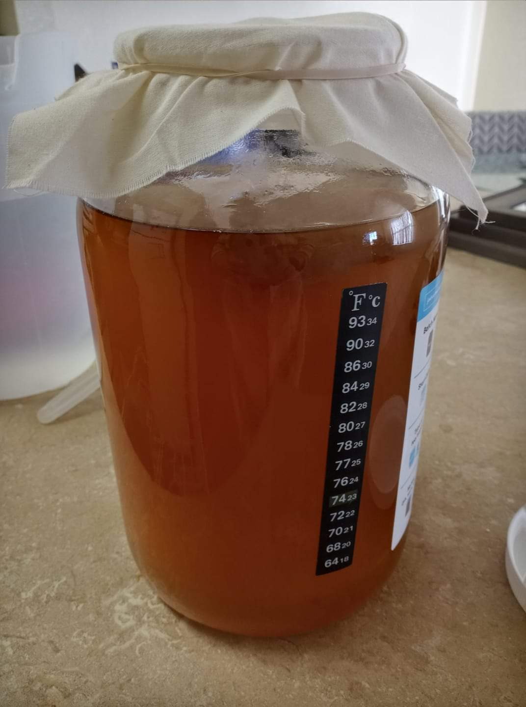 Starter Kit - Includes Organic SCOBY, Starter Liquid, 1 Gallon Glass Jar, Temp Gauge, Tea, and Sugar customer photo 1