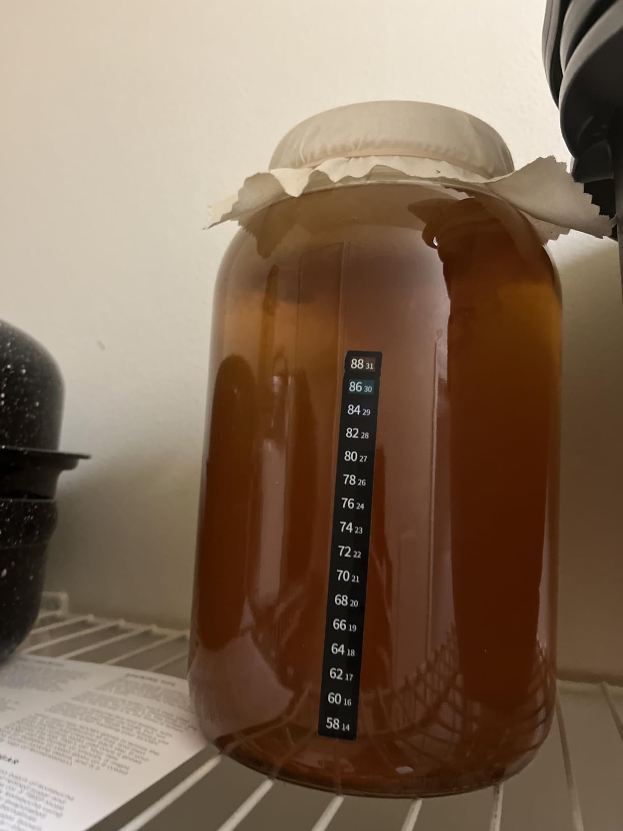 Starter Kit - Includes Organic SCOBY, Starter Liquid, 1 Gallon Glass Jar, Temp Gauge, Tea, and Sugar customer photo 2