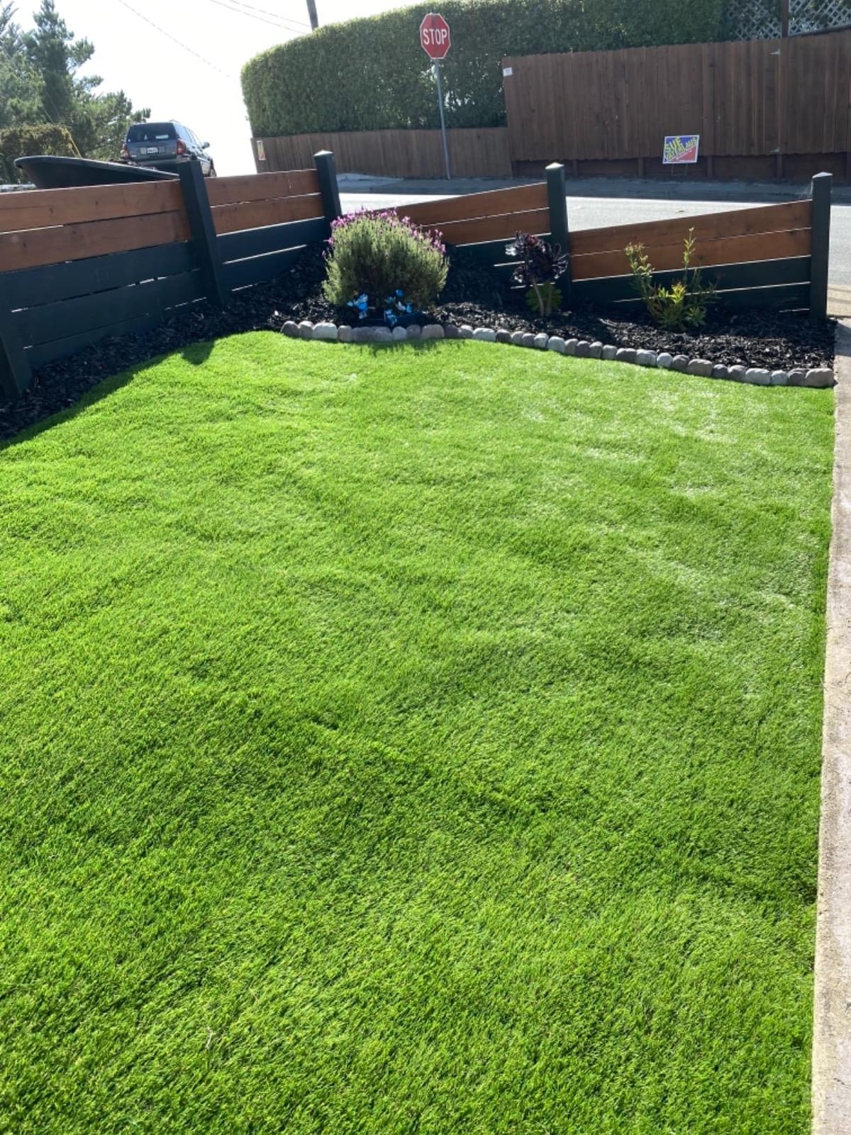 Petgrow 1.38Inch Realistic Artificial Grass Turf-5FTX10FT, Custom Size | Indoor Outdoor Garden Lawn Landscape Synthetic Grass Mat With Drainage Holes, Thick Fake Grass Party Wedding Christmas Rug customer photo 2