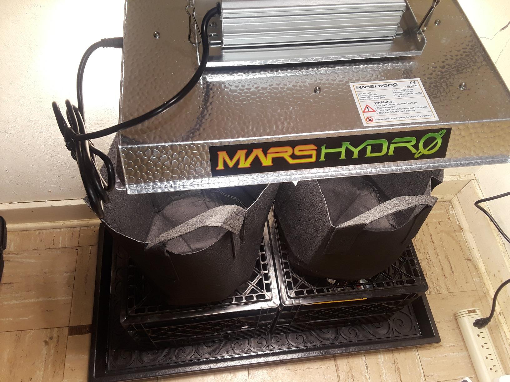 MARS HYDRO 300W TSL2000 Led Grow Lights for Indoor Plants | with Dimmable Daisy Chain Full Spectrum Patented Reflector Growing Lamps Seed Starting Veg Bloom in 4x2/5x3ft Grow Tent customer photo 1
