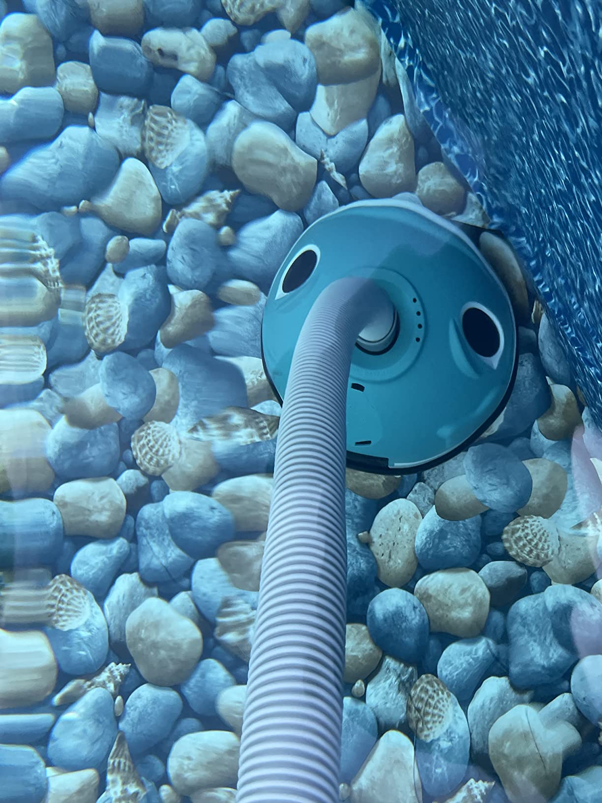 Hayward Wanda the Whale Automatic Pool Cleaner for Above Ground Pools, Suction Pool Cleaner, 32 ft hose, Easy installation customer photo 1