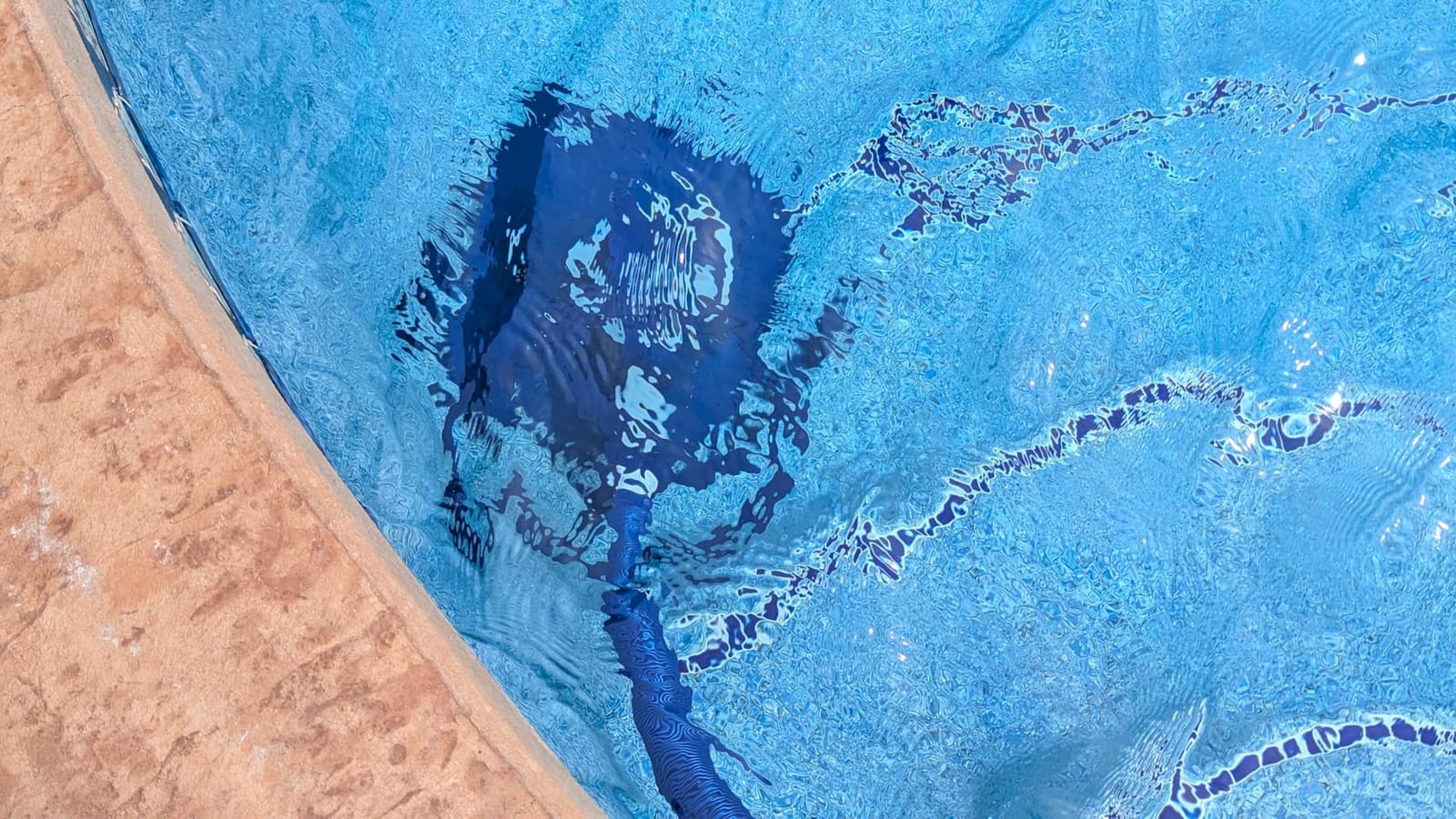 VINGLI Pool Cleaner, Automatic Wall-Climbing Pool Vacuum with 33FT Hoses, Suction Pool Cleaner for Inground Pools (Requires 3/4HP pump) customer photo 2