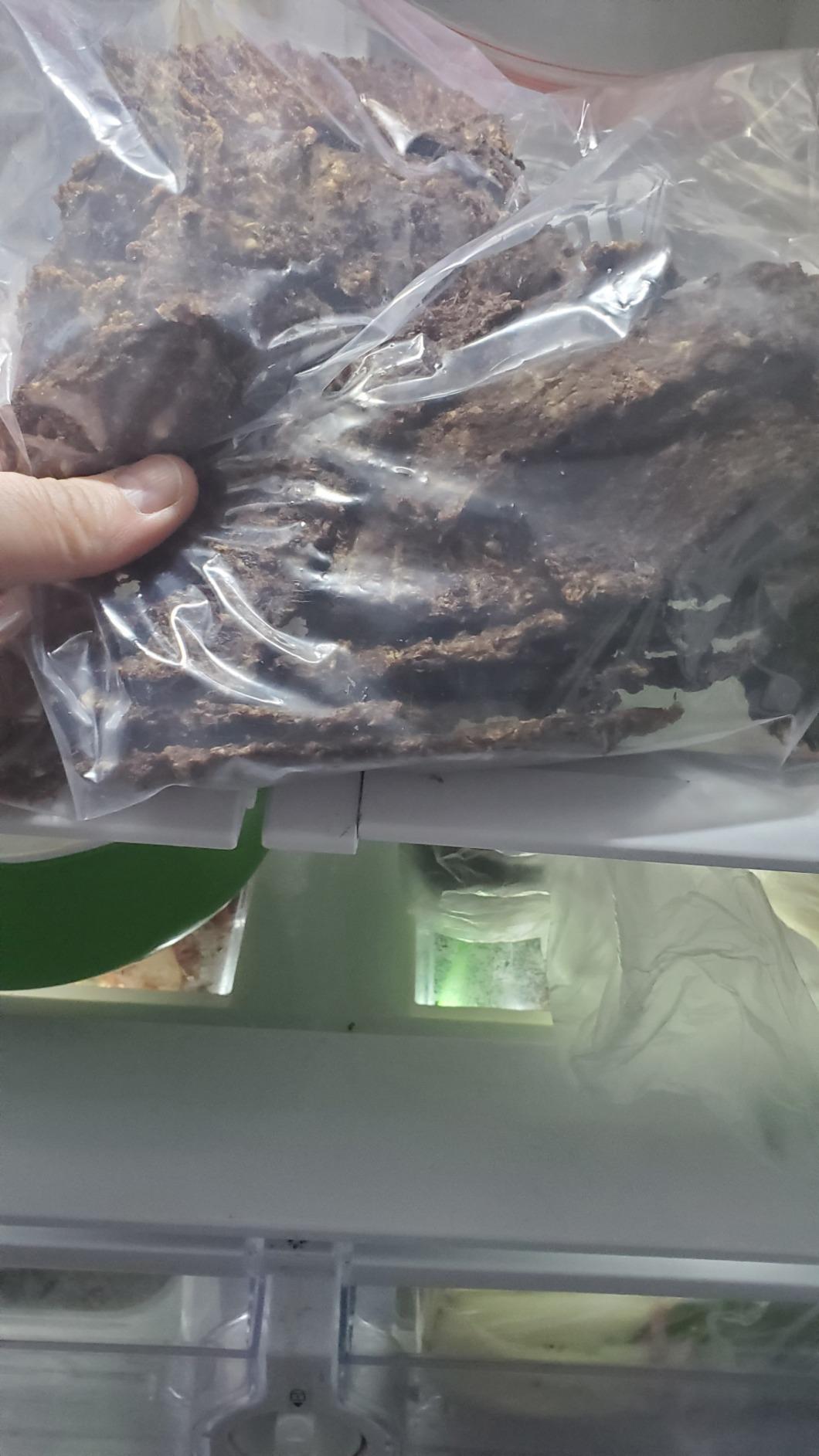 XINQIAO Beef Jerky Gun for Ground Meat, Plastic Jerky Cannon Comes with 4 Nozzles, 2 Brushes customer photo 2