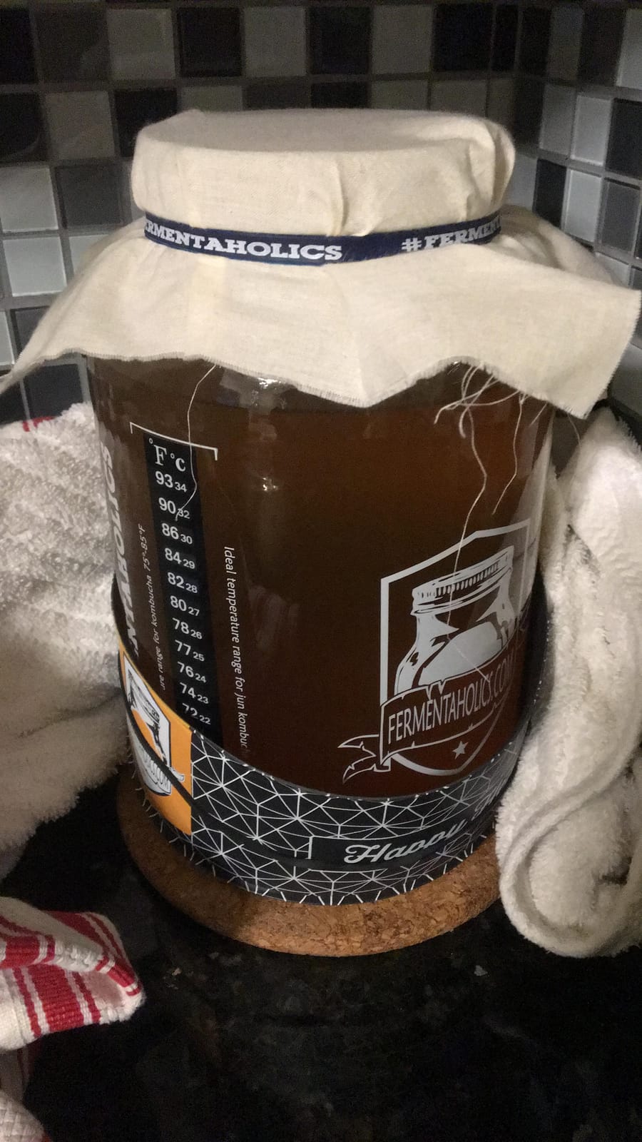 Fermentaholics Kombucha Brewing Starter Kit - USDA Certified Organic SCOBY & Tea, Complete Home Kombucha Making Kit with Culture, Kosher Certified (Deluxe Kombucha Brewing Kit) customer photo 1