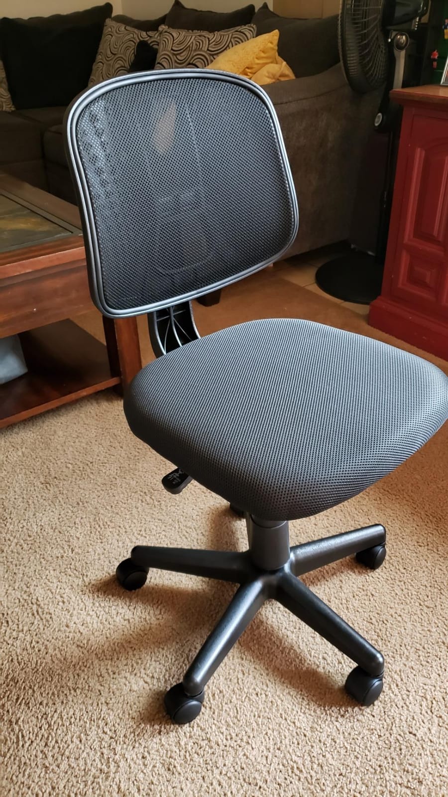 Flash Furniture Mid-Back Mesh Task Office Chair with Pivot Back, Gray customer photo 2