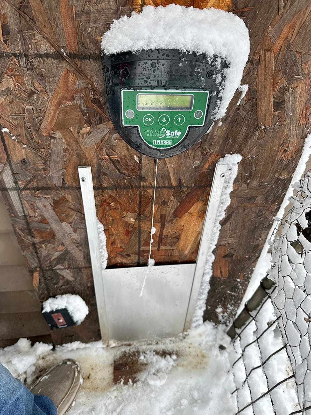 Brinsea ChickSafe Advance Automatic Chicken Coop Door, Timer & Light Sensor | 50+ years of trusted care! Easy setup, extreme weather resistant digital opener with long battery life keeps your flock safe customer photo 1