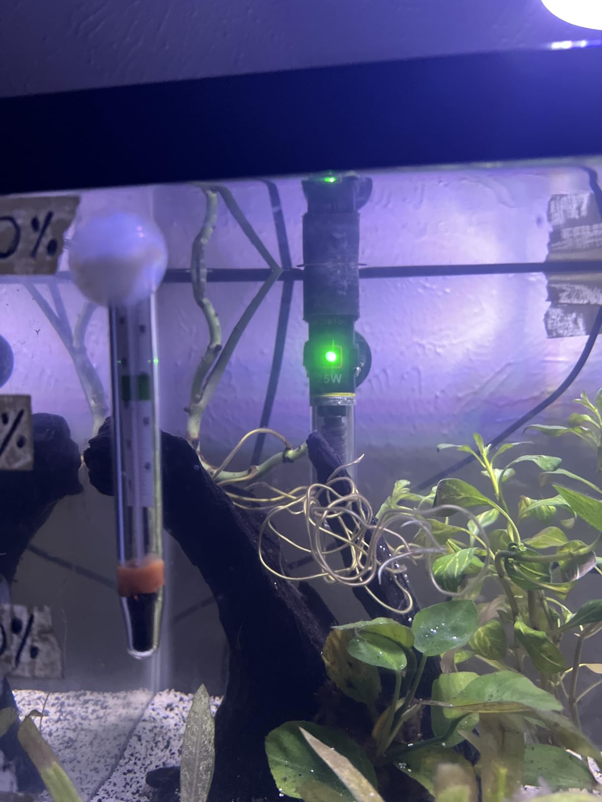 DaToo Mini Aquarium Heater 25W Small Fish Tank Heater 25 Watt with Free Thermometer Sticker customer photo 1