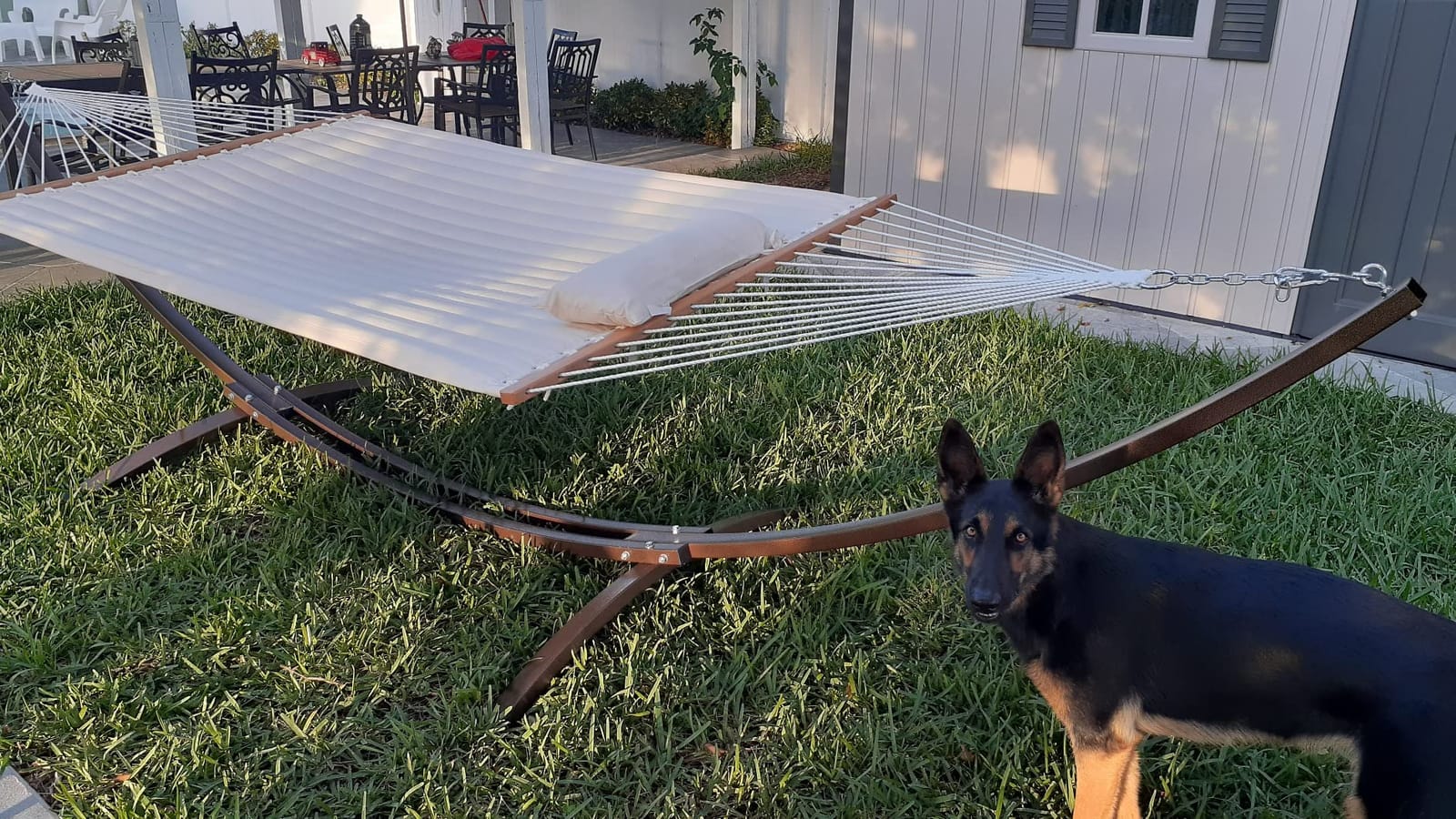 15 Ft Indoor/Outdoor Powder Coated Galvanized Steel Arc Hammock Stand. Strongest Supports Single/Double Hammock Bed.(Bronze) customer photo 1