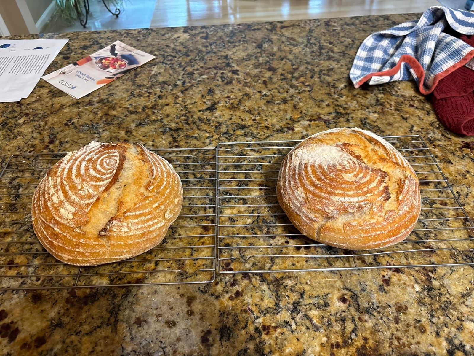 Rattan Banneton Bread Proofing Basket Set of 2, 9 Inch Round | For sourdough, boule and artisan loaves; supports dough during final proof for easier shaping and defined spiral lines customer photo 1