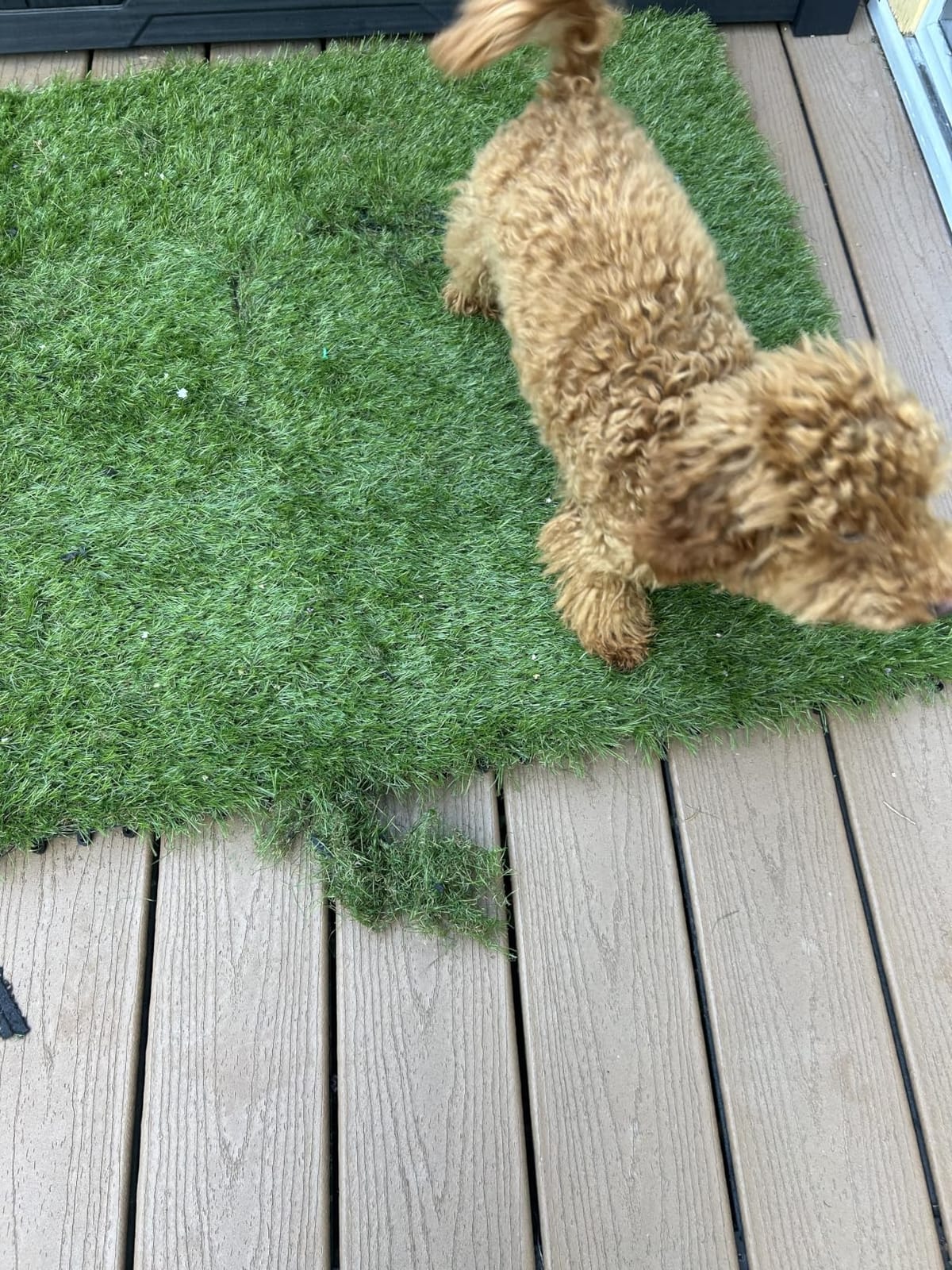 XLX TURF Artificial Grass Tiles Interlocking Outdoor Turf 12