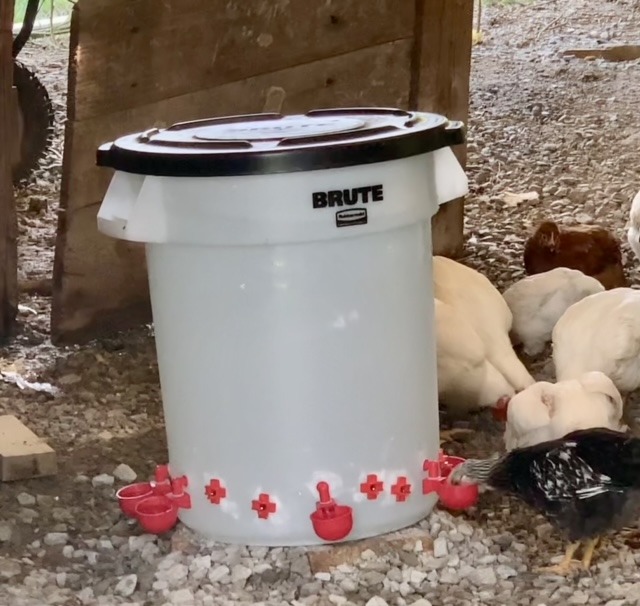 Poultry Pro DIY Chicken Feeder Kit, Weatherproof, 3 Ports & Hole Saw | As Seen on Shark Tank, Gravity Fed Chicken Feeder, for Buckets, Barrels, Bins & Troughs, Poultry Feed (Bucket Not Included) customer photo 1