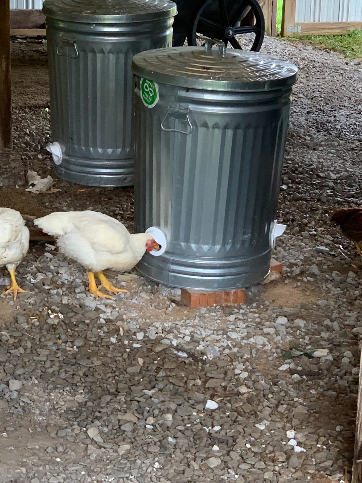 Poultry Pro DIY Chicken Feeder Kit, Weatherproof, 3 Ports & Hole Saw | As Seen on Shark Tank, Gravity Fed Chicken Feeder, for Buckets, Barrels, Bins & Troughs, Poultry Feed (Bucket Not Included) customer photo 2