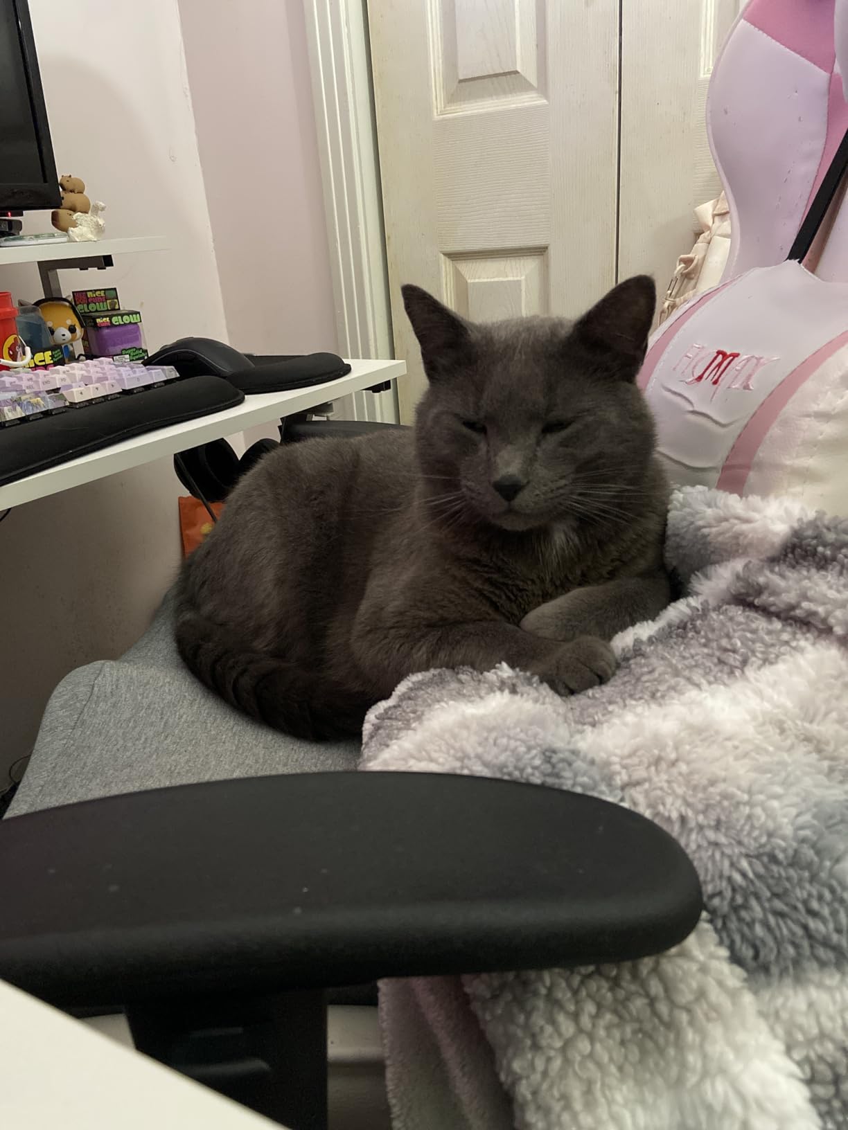 C CUSHION LAB Patented Pressure Relief Seat Cushion for Long Sitting Hours on Office/Home Chair, Car, Wheelchair - Extra-Dense Memory Foam for Hip, Tailbone, Coccyx, Sciatica - Light Grey customer photo 2