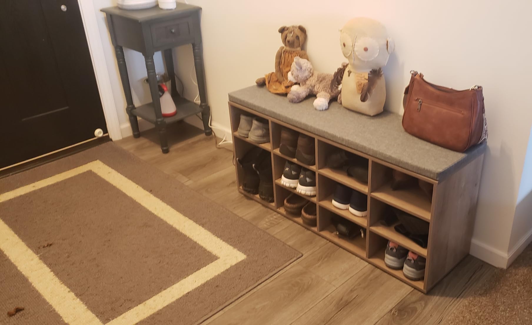DINZI LVJ Shoe Storage Bench with Cushion, 40.9