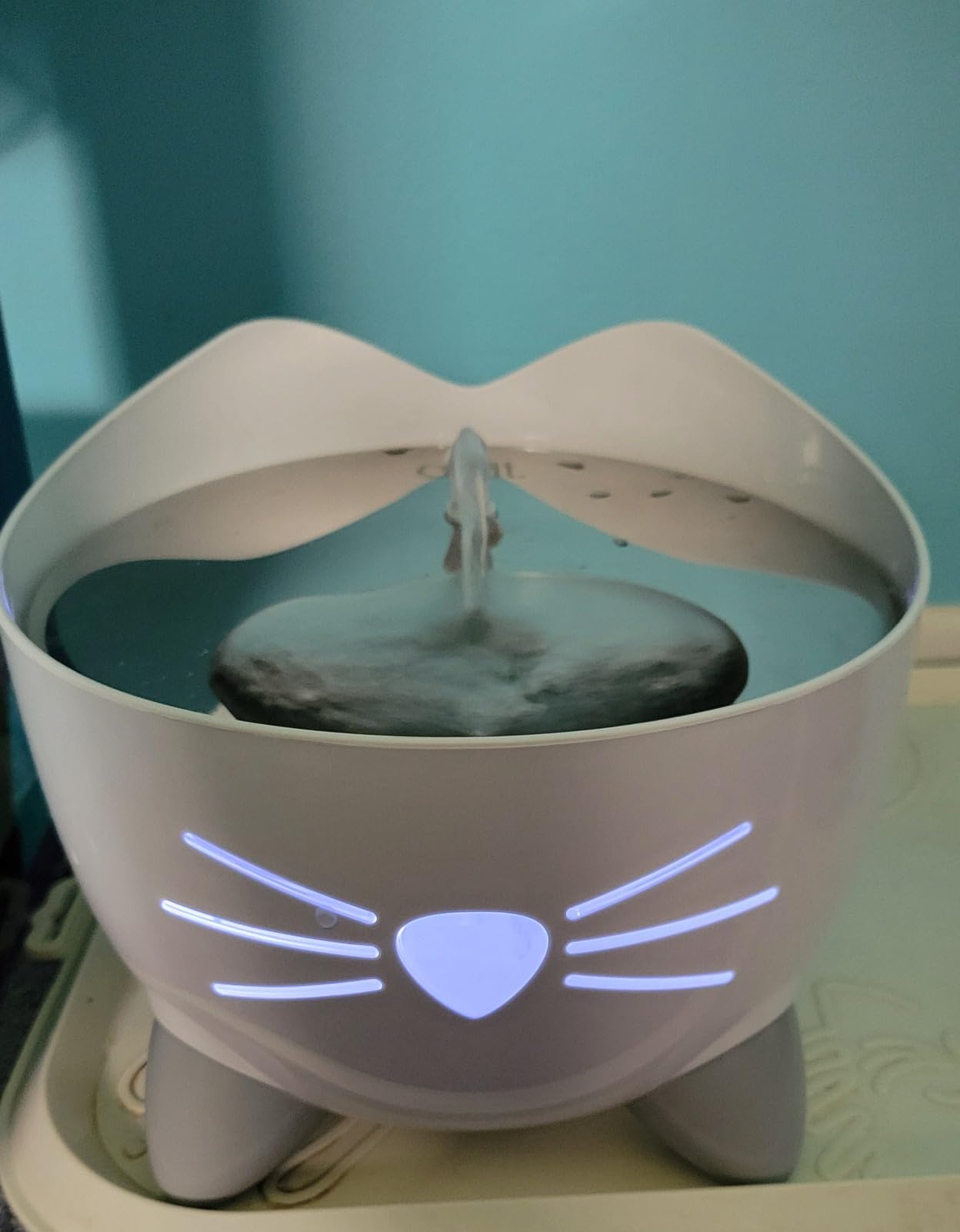 Catit PIXI Cat Drinking Fountain, Running Water Fountain, Pink | Cat Water Fountain with Triple Filter and Ergonomic Drinking Options customer photo 2