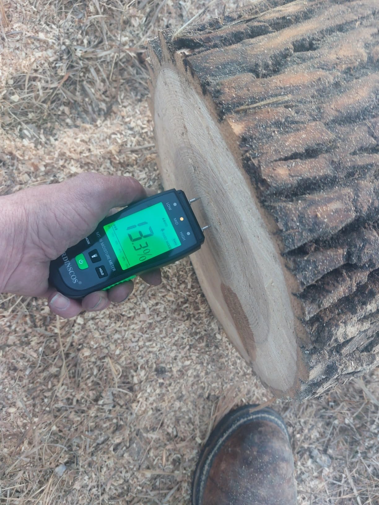 RDINSCOS Wood Moisture Meter for Firewood, Softwood, Hardwood | 4 Modes Wood Humidity Meter, LCD Display Screen, Flashlight, Replaceable Pins, for Wood Floors customer photo 1