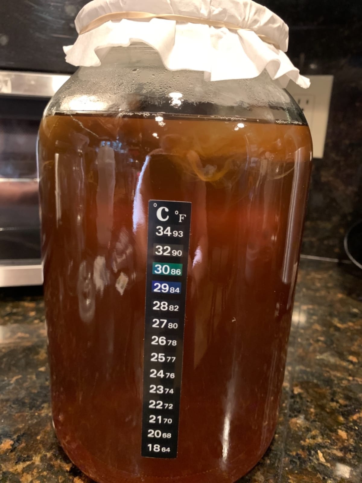 Deluxe Kombucha Starter Kit with Kombucha SCOBY & Starter Tea, Full Kombucha Kit with Bottles Swing Top Glass Bottles Kombucha Brewing Kit + 6 Bottles to Flavor Kombucha (Clear Bottles) customer photo 1