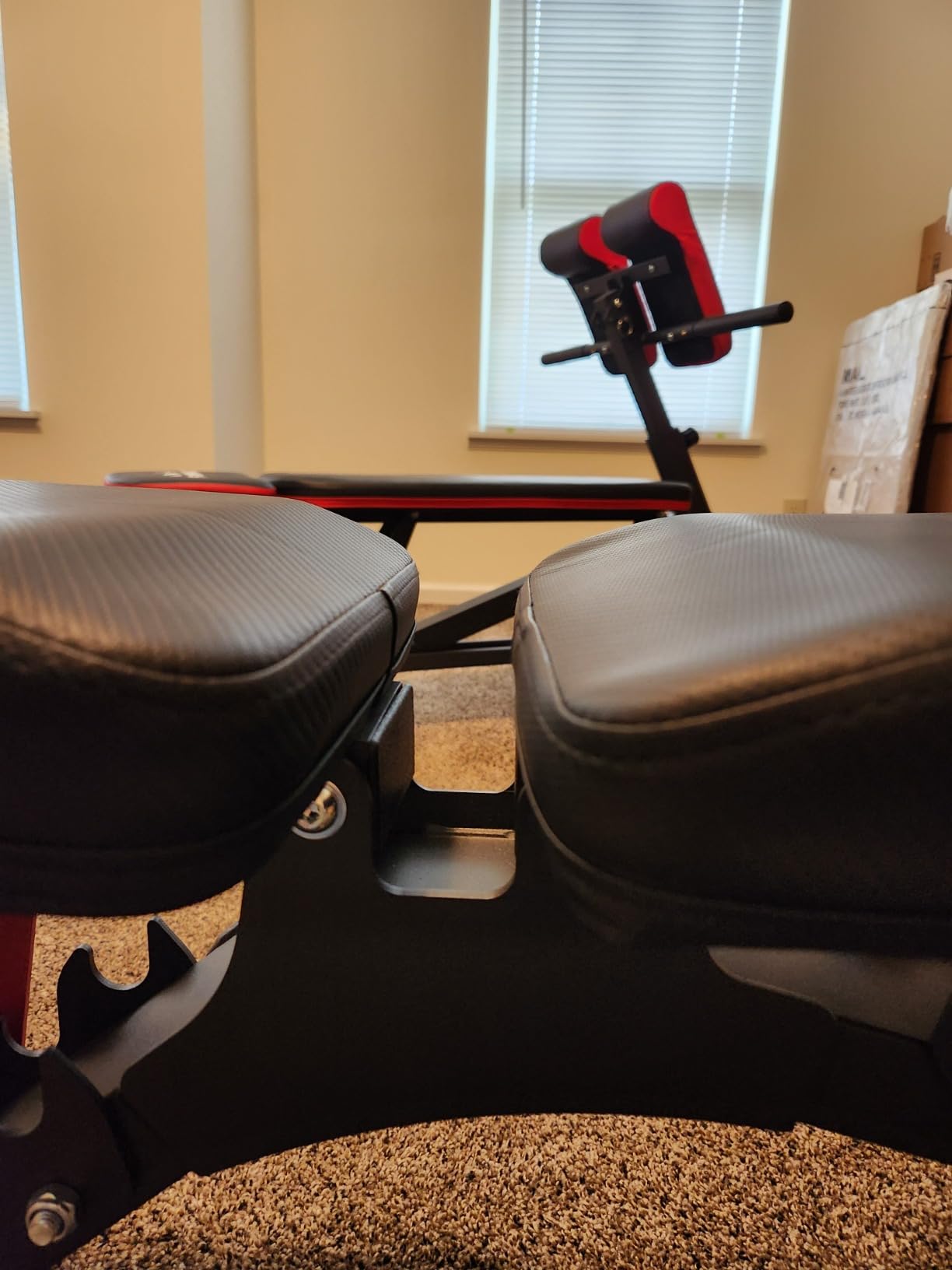 FLYBIRD WB7 Weight Bench, 1300LBS Commercial Adjustable Weight Bench, Workout Bench for Home Gym, Flat Incline Bench Press Heavy Duty Bench with 34'' Extra-Long Backrest and Easy-Roll Wheels customer photo 2