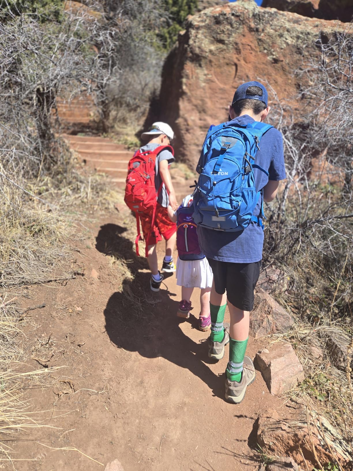 Teton Oasis/Trailrunner Hydration Backpack - Lightweight Water Pack with 2L/3L Bladder for Hiking, Running, Cycling, Biking 18L/22L Sizes - Sewn-in Rain Cover customer photo 1