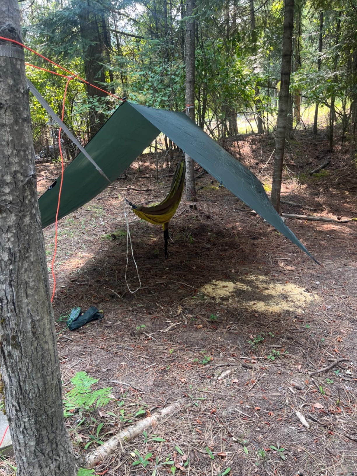 ENO, Eagles Nest Outfitters SingleNest Lightweight Camping Hammock customer photo 1