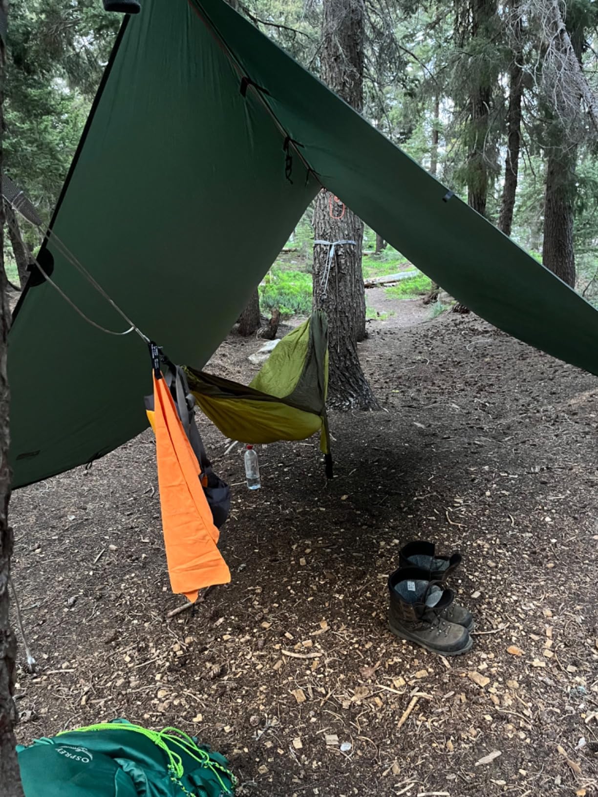 ENO, Eagles Nest Outfitters SingleNest Lightweight Camping Hammock customer photo 2