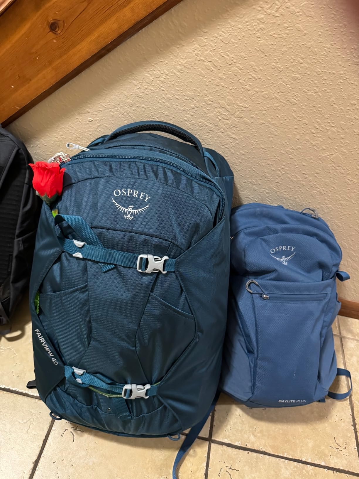 Osprey Fairview 40L Women's Travel Backpack, Night Jungle Blue customer photo 1