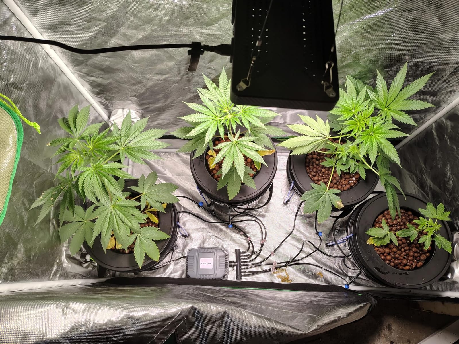 VIVOSUN DWC Hydroponics Grow System with Top Drip Kit 8 Buckets | 5-Gallon Deep Water Culture, Recirculating Drip Garden System with Multi-Purpose Air Hose, Air Pump, and Air Stone customer photo 2