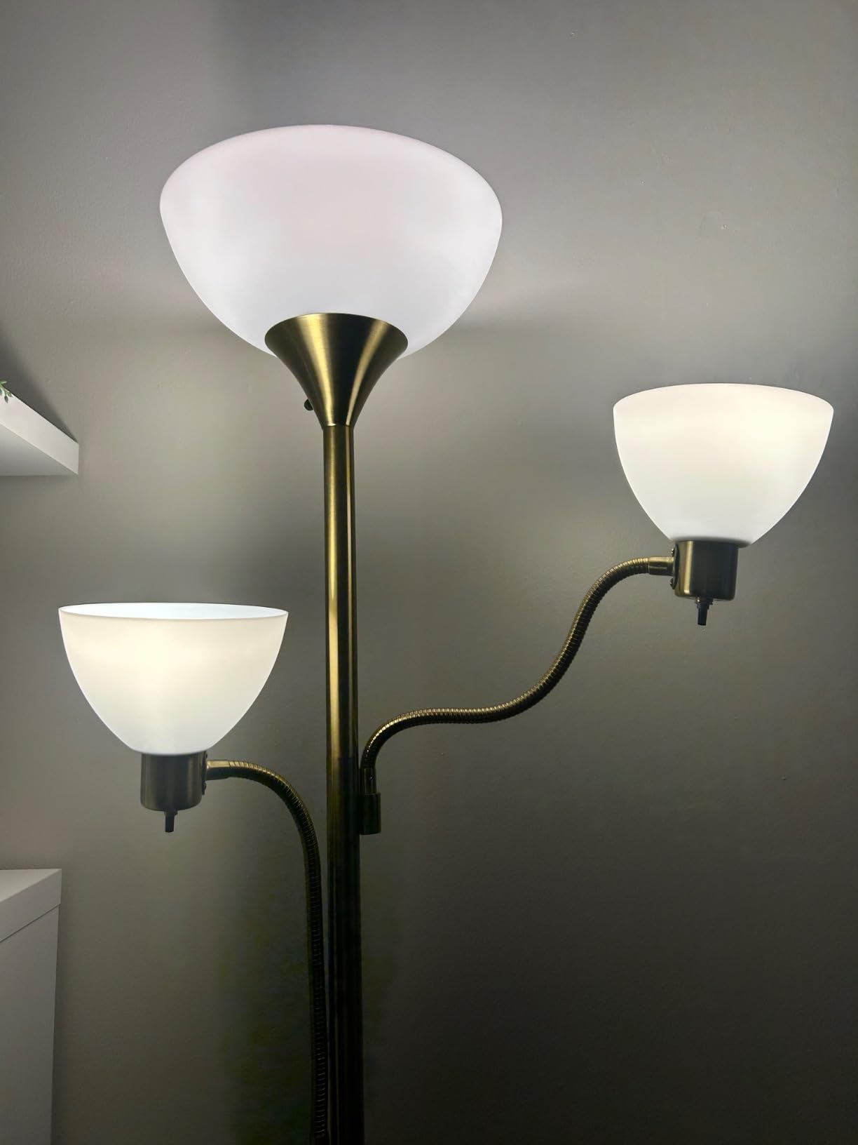 Brightech Sky Dome Double - High Brightness Torchiere Floor Lamp with 2 Reading Lights for Living Rooms, Bedrooms - Replace Halogen Standing Lamps with Efficient LED Office Lighting - Tall White Pole customer photo 2