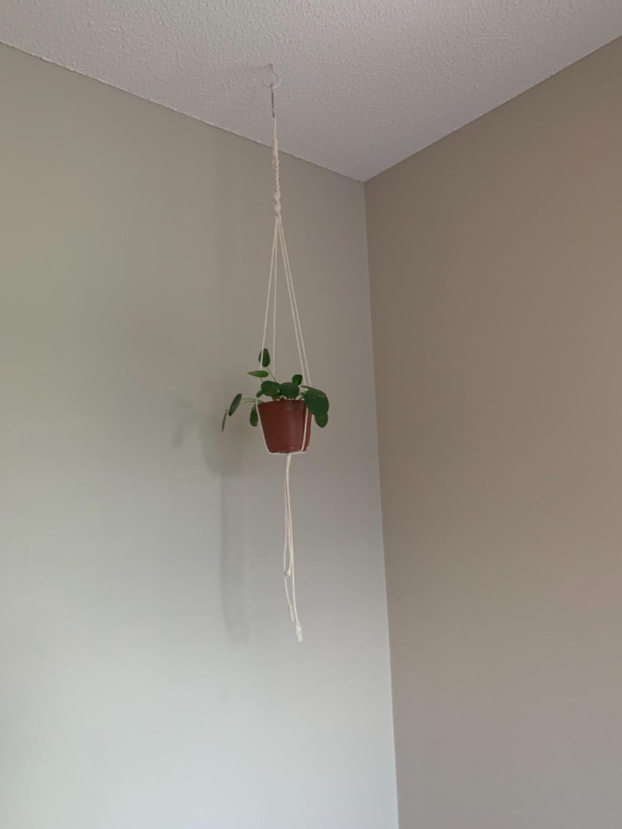 152pcs Macrame Kit for Beginners: Natural Cotton Macrame Cord, Wooden & Metal Rings, Beads, Sticks & Hoops - Perfect for Macrame Plant Hangers & Home Decor customer photo 2
