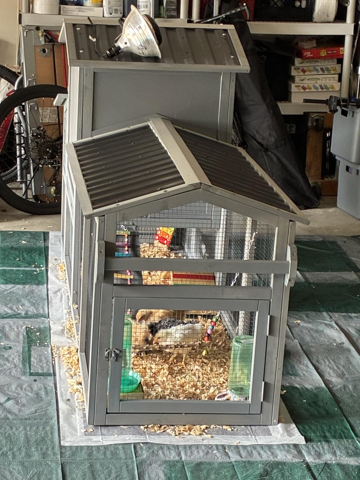 GUTINNEEN Chicken Coop 103
