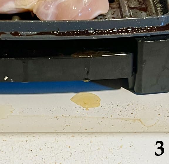 George Foreman Fully Submersible 4-Serving Grill customer photo 2