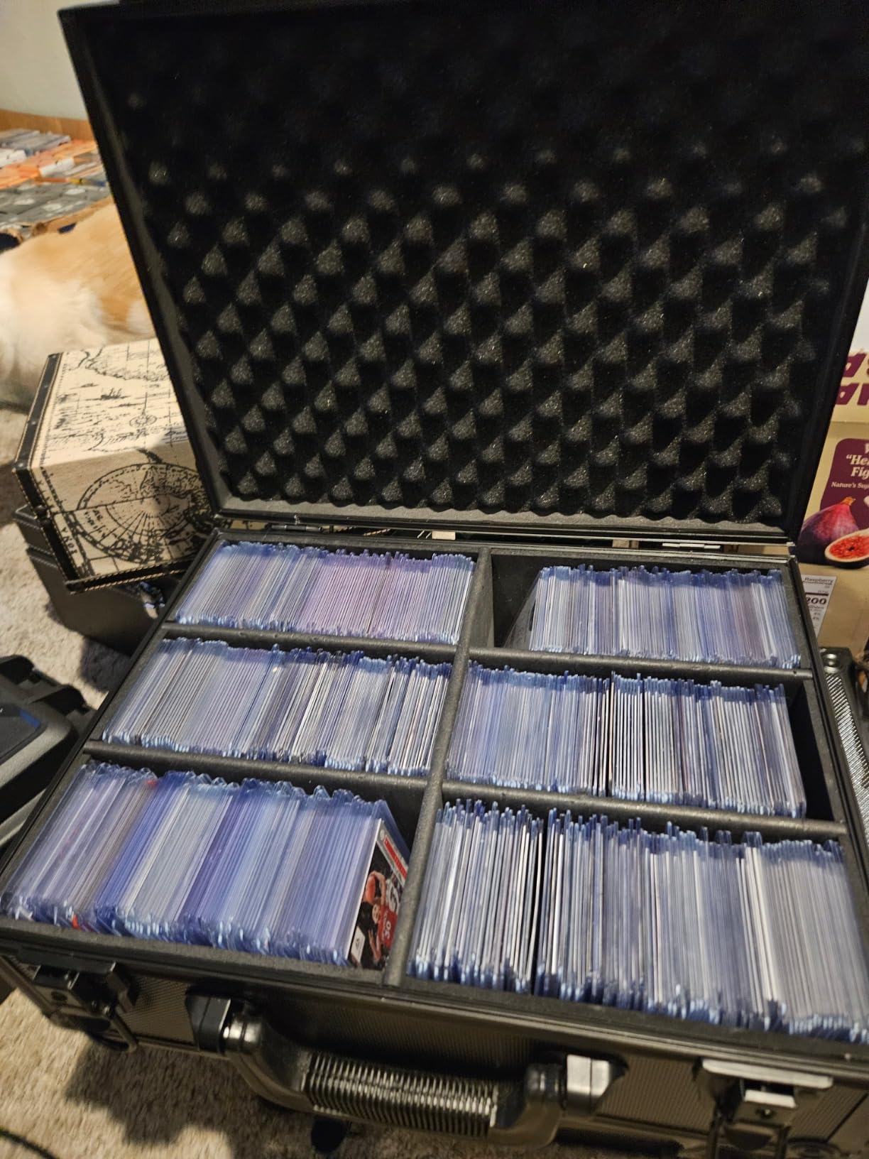 Waterproof Graded Card Storage Box for PSA CSG BGS SGC Magnetic Card Holder | Protective Trading Card Case, Organizer Case Holds 100+ Slabs, for MTG, TCG, Sport Card, Toploader, Hard Shell, Dustproof customer photo 1