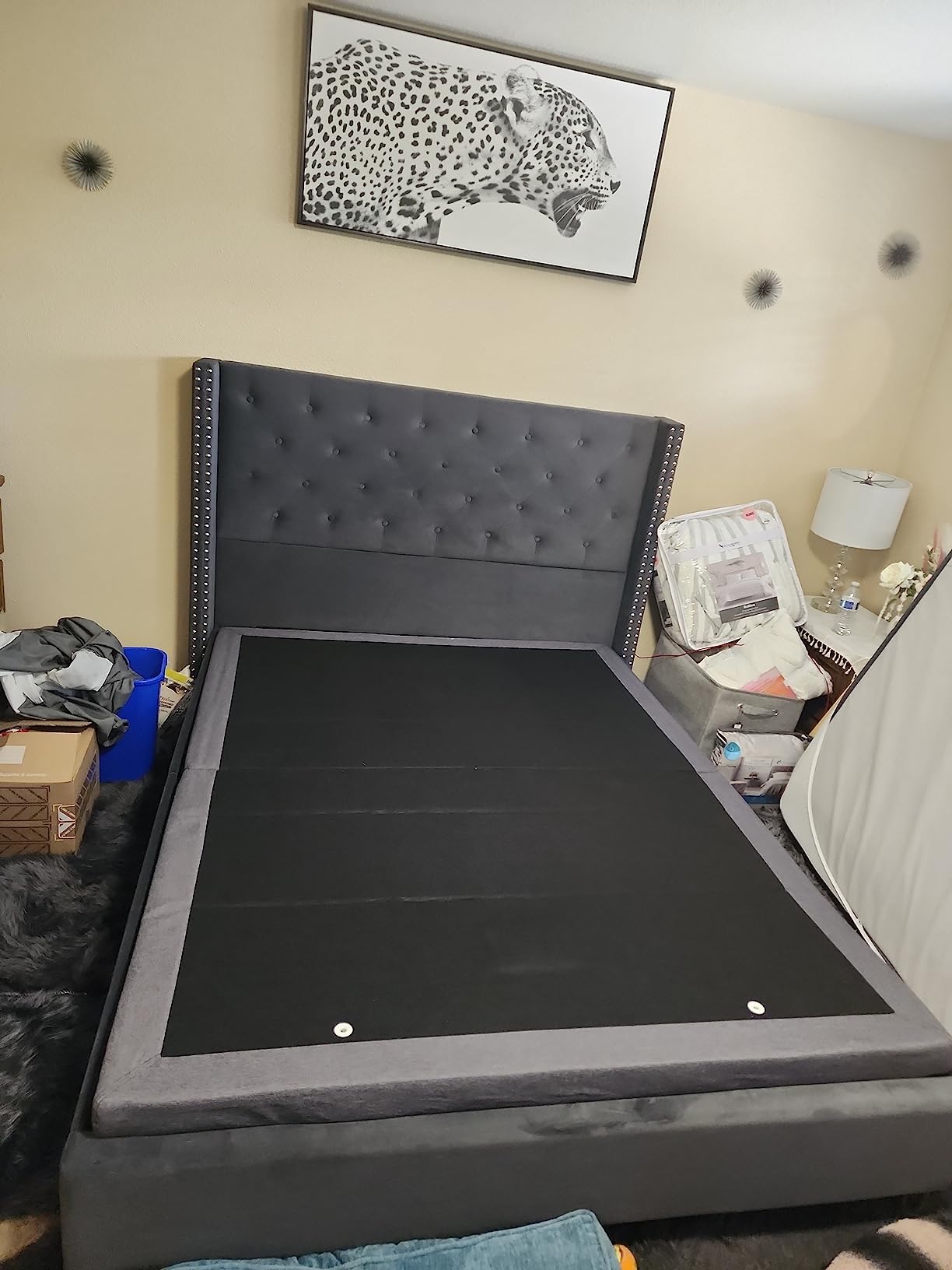 Naomi Home Idealbase Split King Adjustable Bed Base with Massage | Split King Adjustable Bed With Massage, Usb Ports, Under-Bed Light, Wireless Remote, 800 Lb Capacity, Gray Metal Frame, Easy Setup for Couples' Personalized Comfort customer photo 1