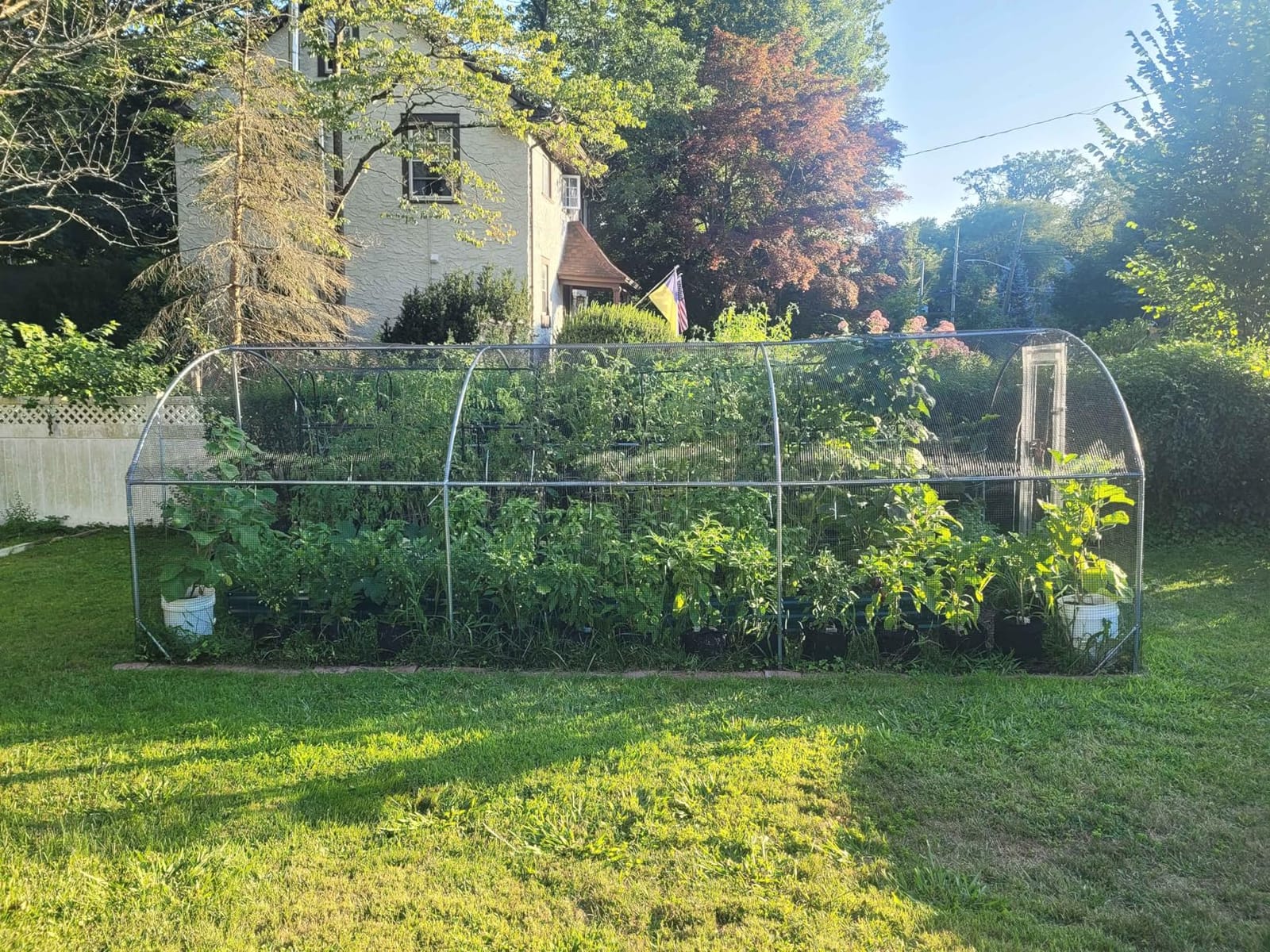 Large Metal Chicken Coop Round Top Upgrade Tri-Supporting Wire Mesh Chicken Run, Chicken Pen with Water-Resistant and Anti-UV Cover, Duck Rabbit House Outdoor (19'L x 9'W x 6.5'H) customer photo 2