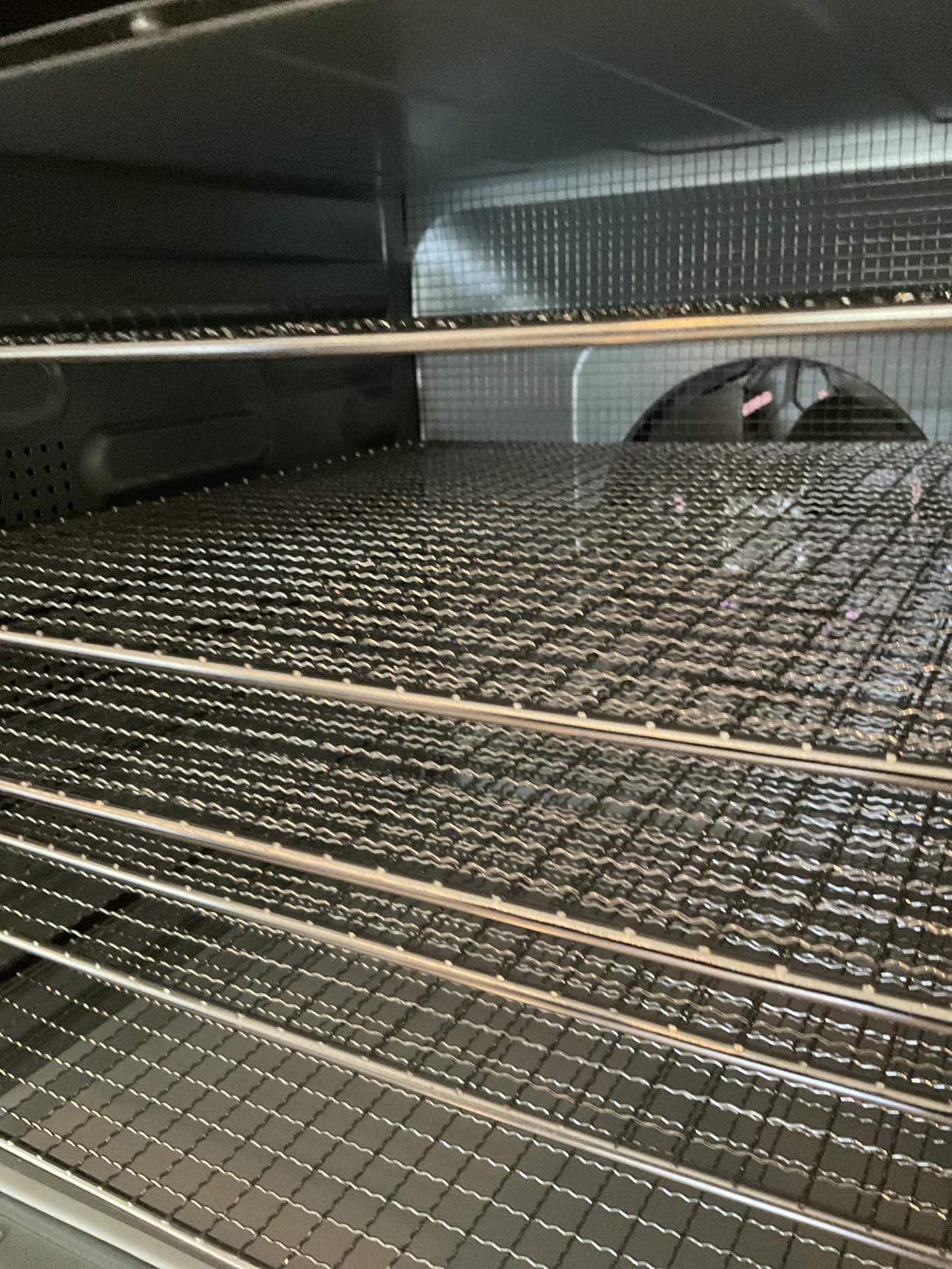 Cosori Food Dehydrator, 10 Stainless Steel Trays with 16.2 ft² Drying Space | 95-165°F Precision Control, 1000W Faster Drying, Horizontal Airflow, 48H Timer, Large Family Capacity, Silver customer photo 2
