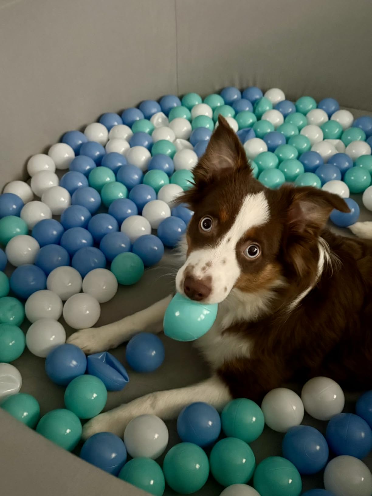 SHJADE Foam Ball Pit, 47.2
