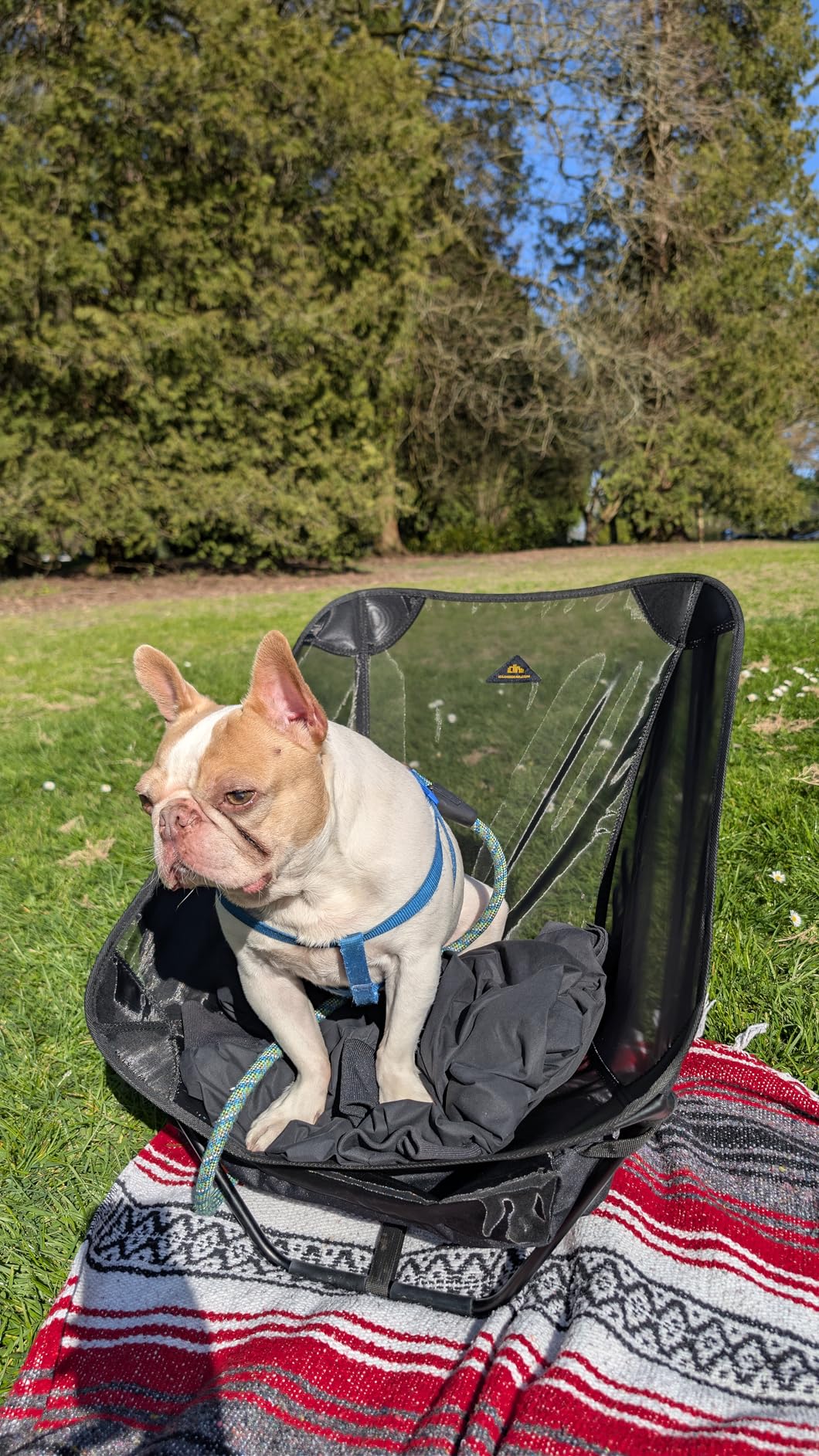 Low Ultralight Compact Folding Chair with Side Pocket and Carry Bag, for Camping Backpacking Hiking customer photo 2