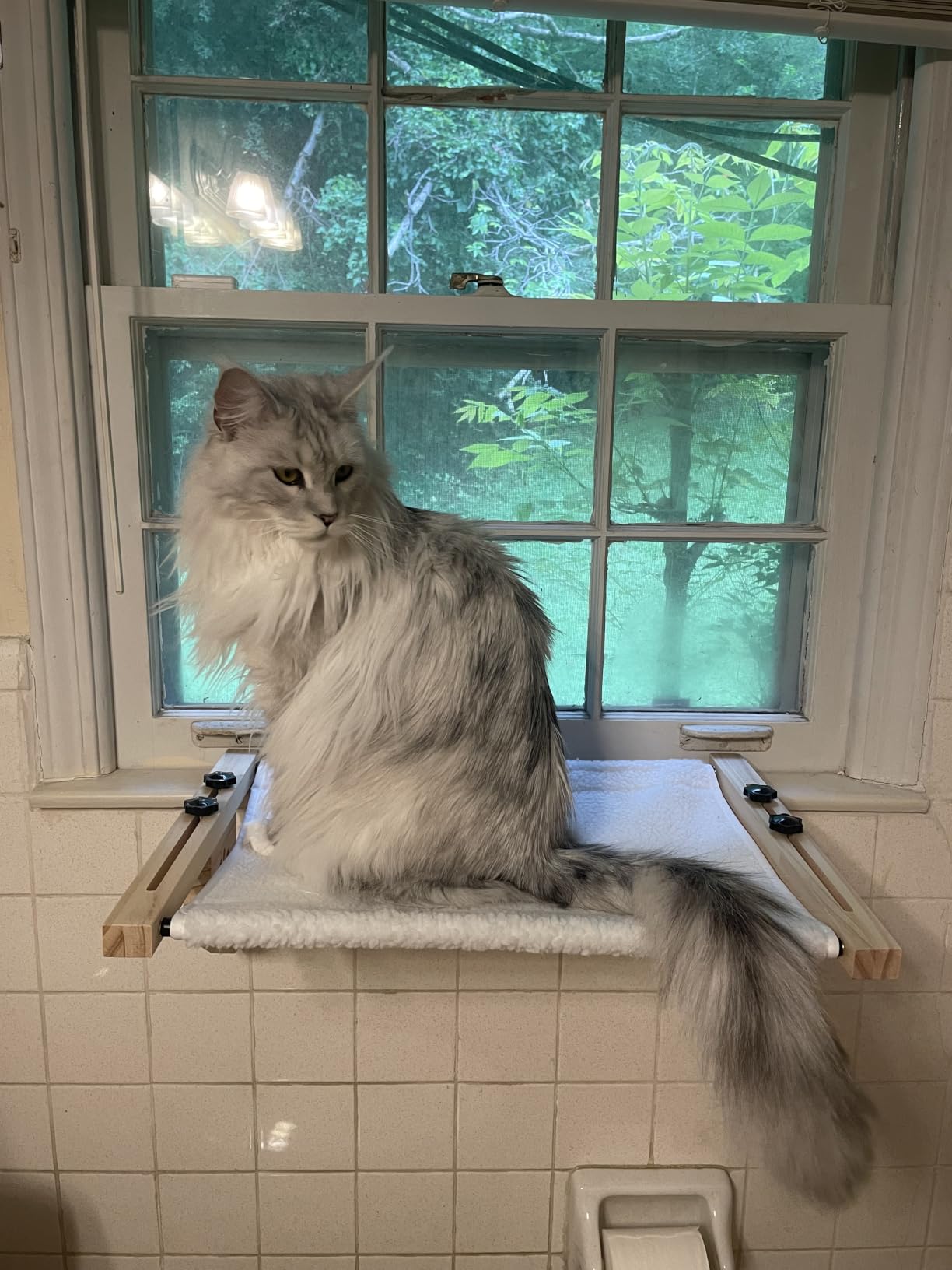 AMOSIJOY Cat Windowsill Perch with Wood & Metal Frame for Large Cat, 21.7in | Solid Wood Frame, Easy to Adjust, Washable Berber Fleece Cover, No Suction Cups Cat Window Seat for Windowsill, Bedside customer photo 2