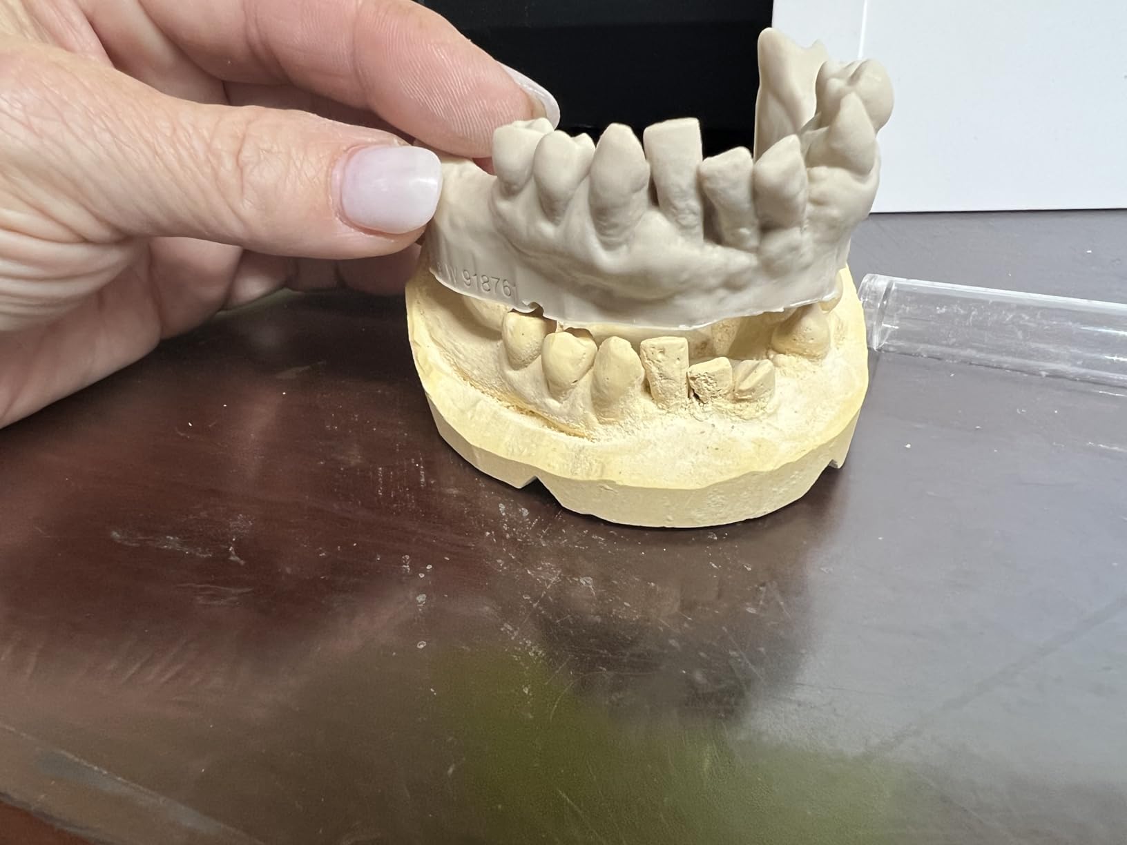 phrozen 3D Printer Rapid Resin [Aqua Red-Clay 8K], 405nm LCD UV-Curing Standard Photopolymer Resin for Highly Detailed Models, Low Odor Not Smelly Non-Brittle, Works Best with 8K 3D LCD Printer (1KG) customer photo 1