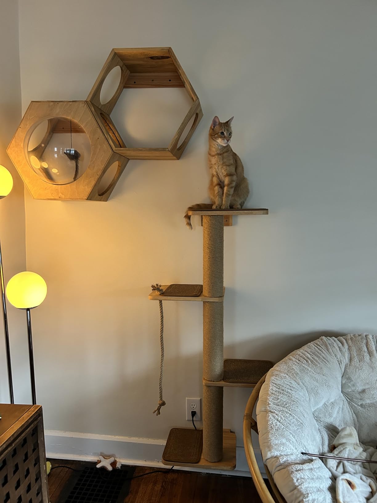 Cat Scratching Activity Tree Wall Mounted | 50 Inch Cats Scratch Post, with Kitten Bed, Rubber Wood Scratcher Posts, Large customer photo 2