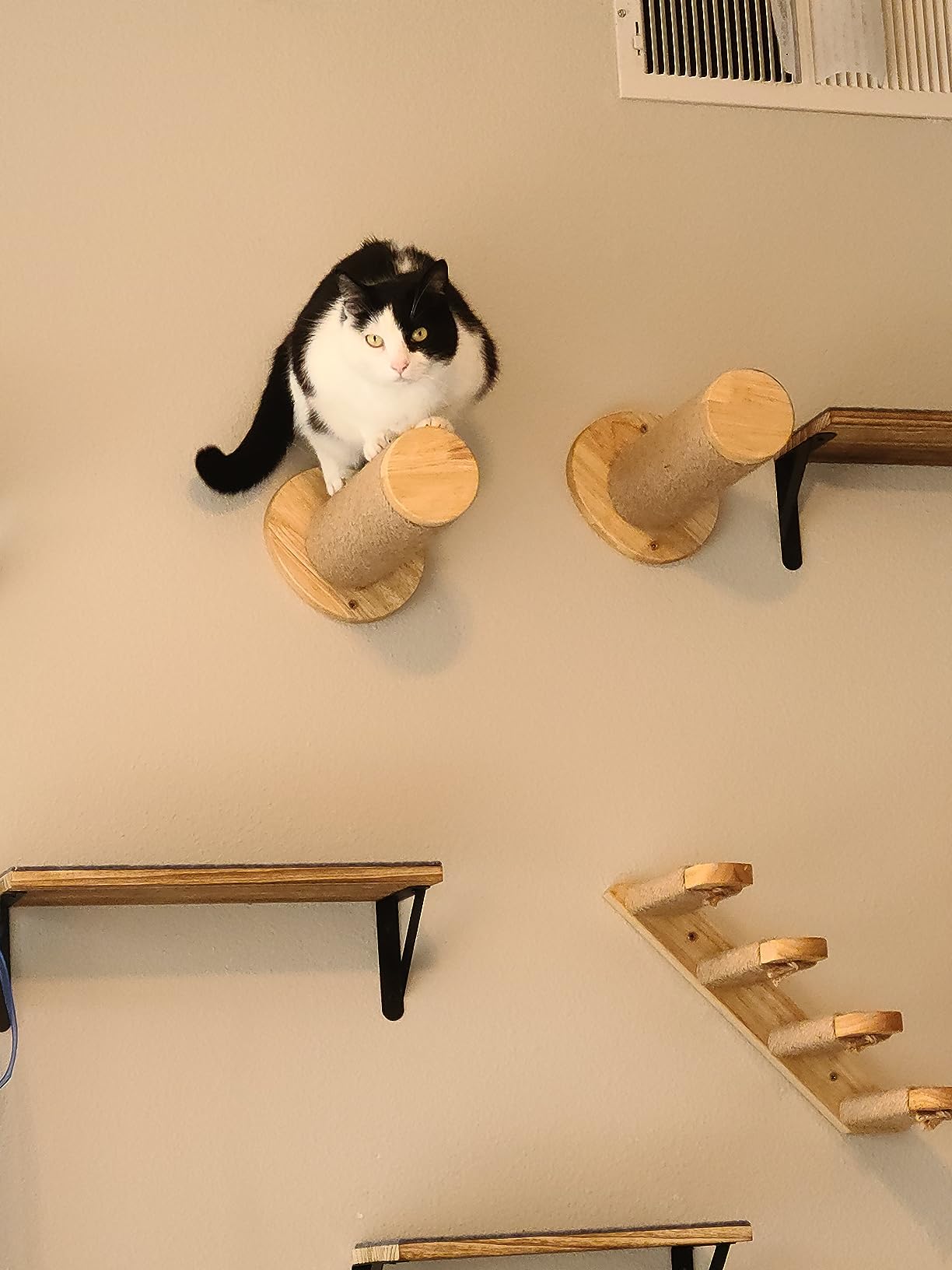Cat Wall Steps, 11.8 Inch, 2 of Pack | Walnut Wood, Kitten Stairs Wall Mounted with Natural Jute Scratching Cats Shelf Furniture customer photo 2