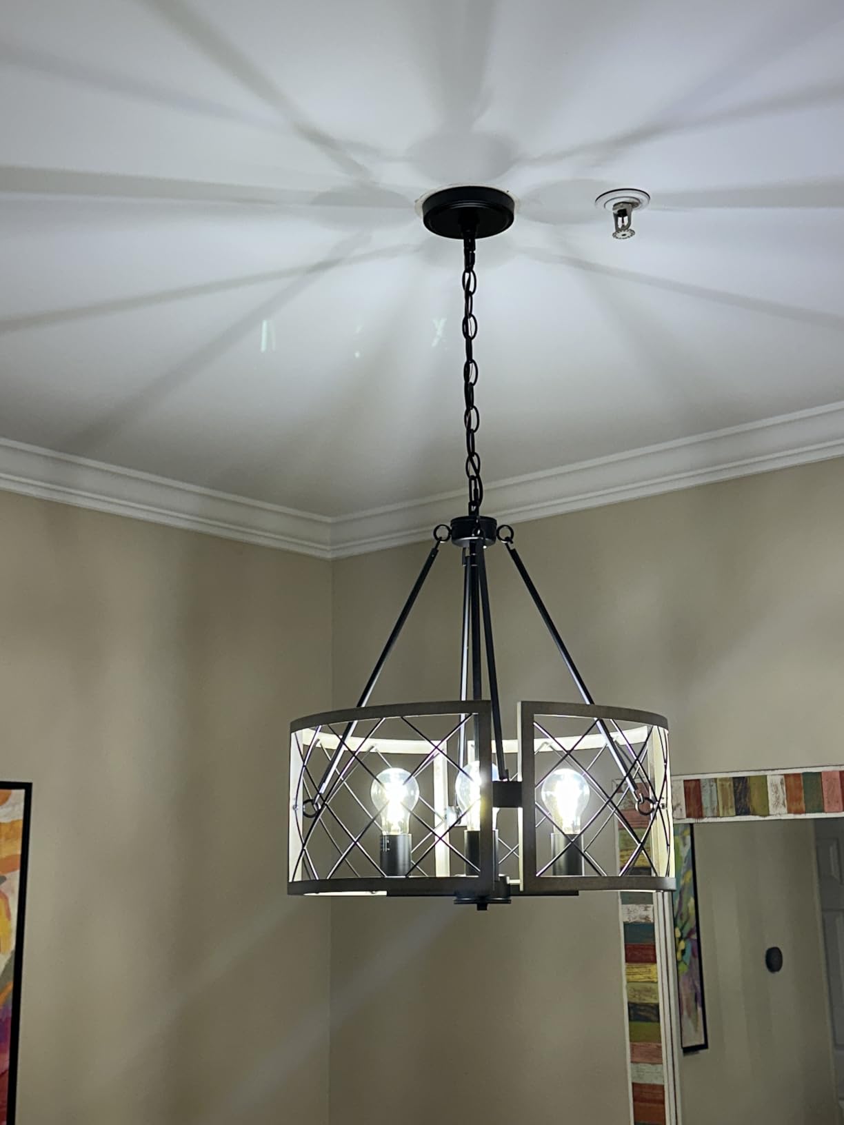 D19'' Farmhouse Chandelier, 4-Light Adjustable Dining Room Light Fixture Kitchen Island Lighting, Rustic Hanging Lights for Entryway Foyer Bedroom Living Room, Black & White Oak customer photo 2