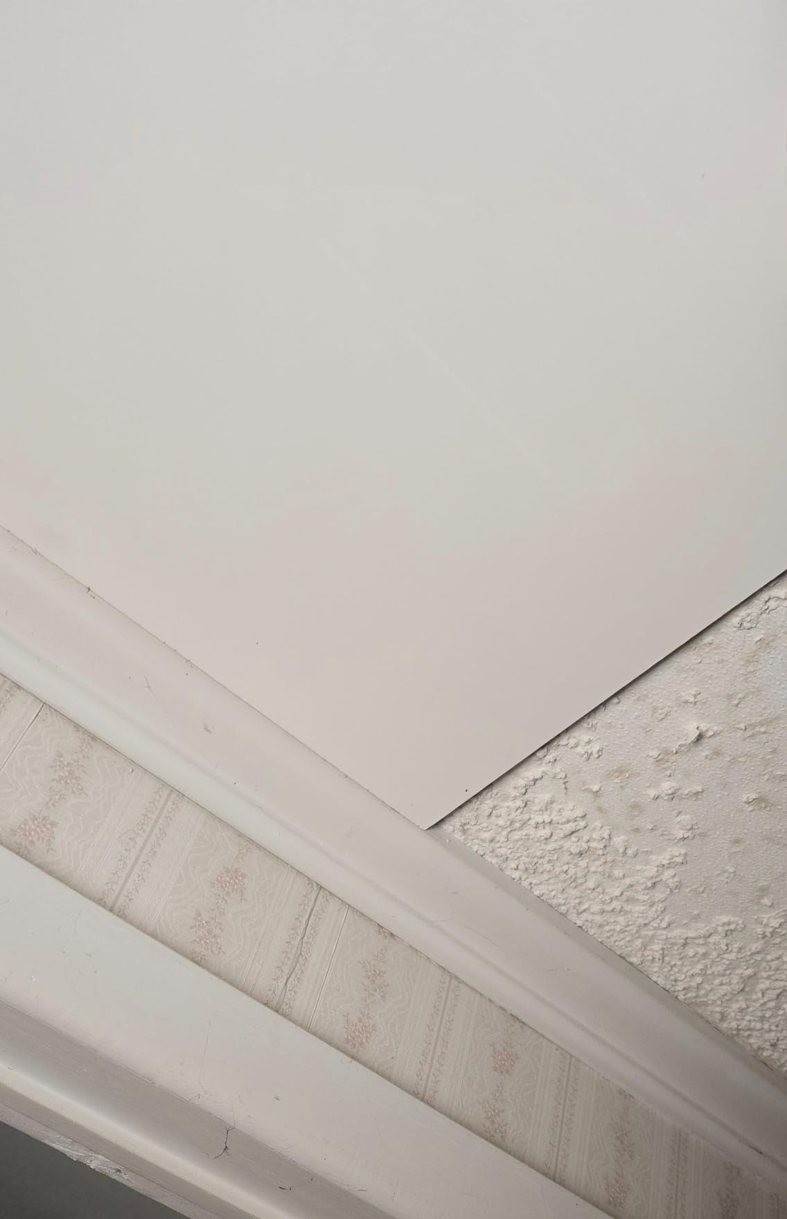 PVC Drop Ceiling Tiles 2x4 ft - Waterproof, Fire-Rated, Commercial Grade, Easy Lay-in Installation for 15/16 inch Grid, Washable & Scratch Resistant, 80 Sq.Ft, Pack of 10 Tiles customer photo 2